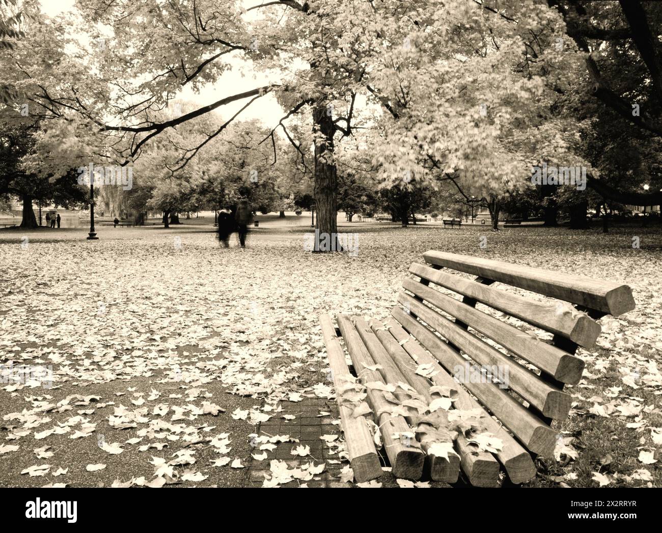 Boston Public Garden im Herbst – USA Stockfoto
