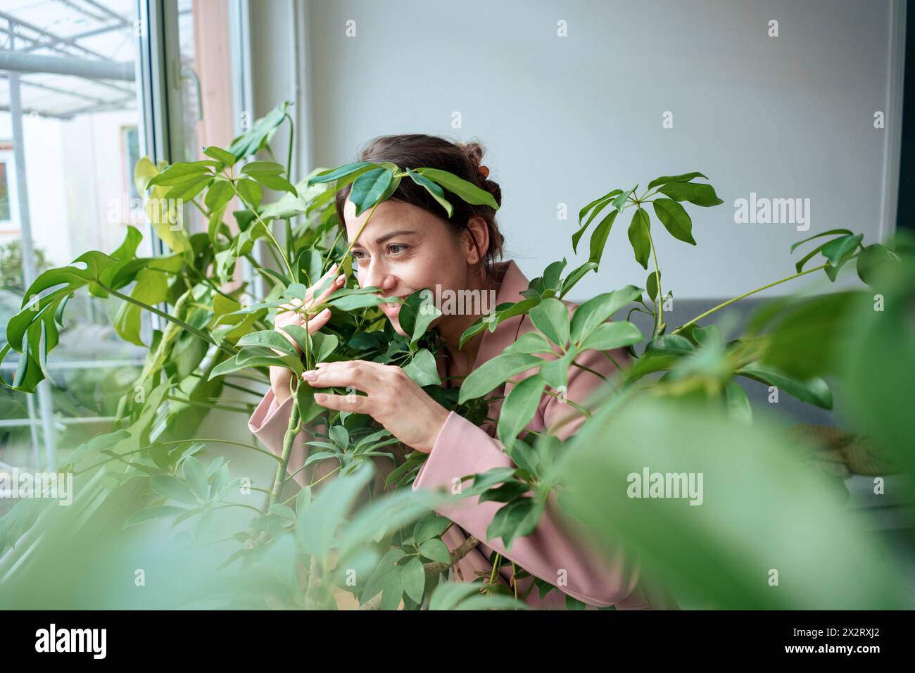 Lächelnde Geschäftsfrau inmitten grüner Pflanzen zu Hause Stockfoto