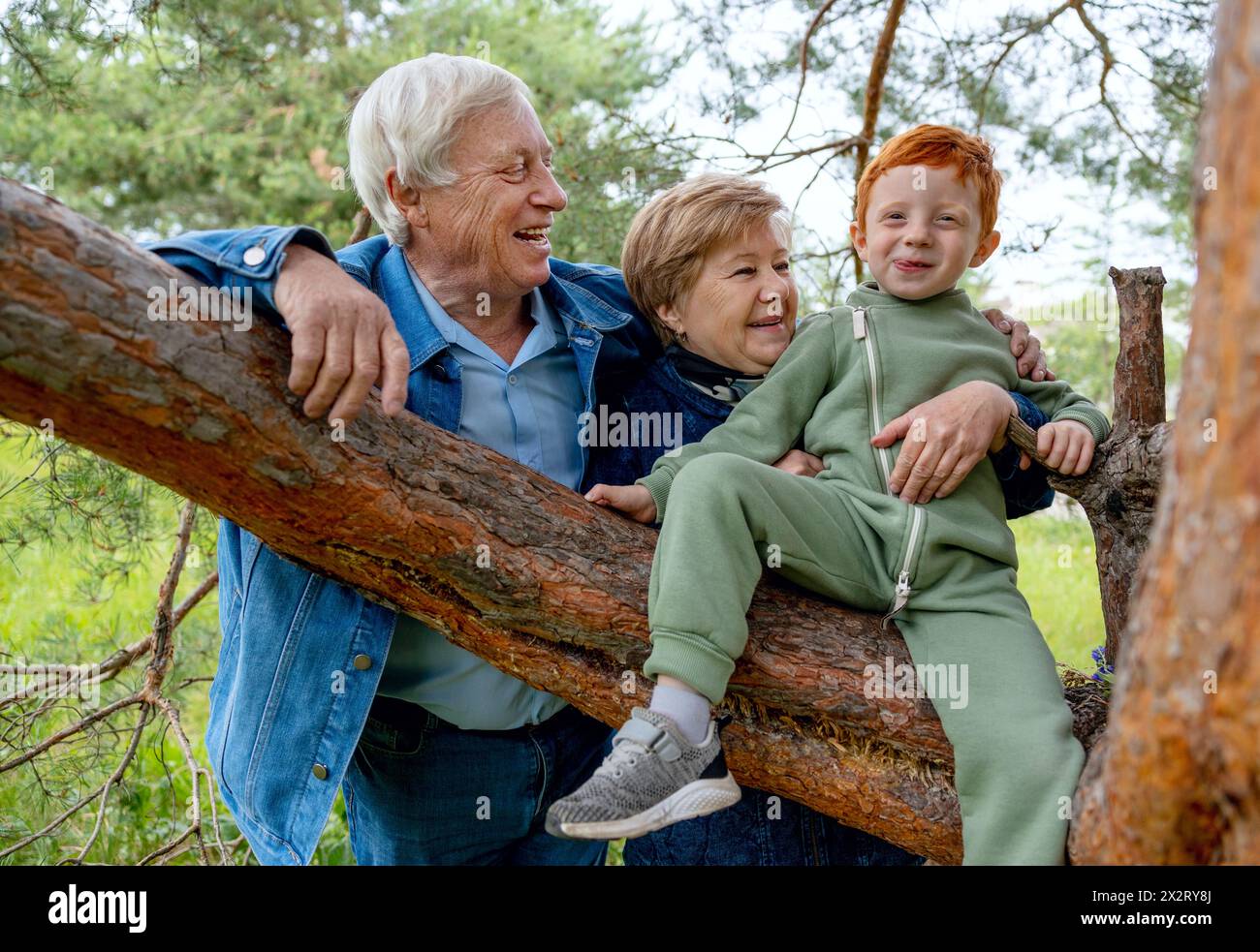 Ein verspielter Junge sitzt auf einem Baumzweig in der Nähe von Großeltern im Wald Stockfoto