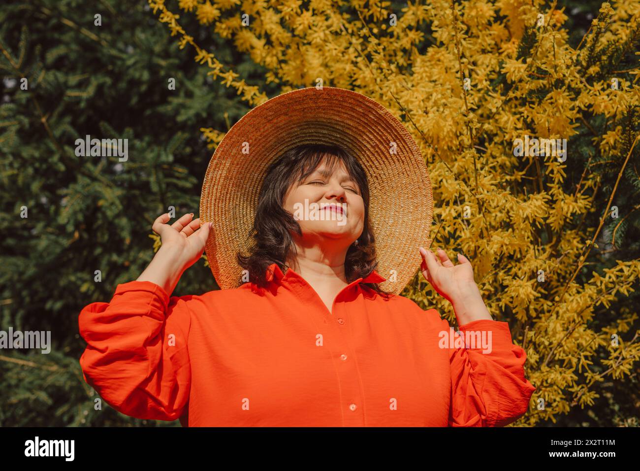 Reife Frau mit Strohhut und Sonnenlicht in der Nähe des gelben Blütenbaums Stockfoto