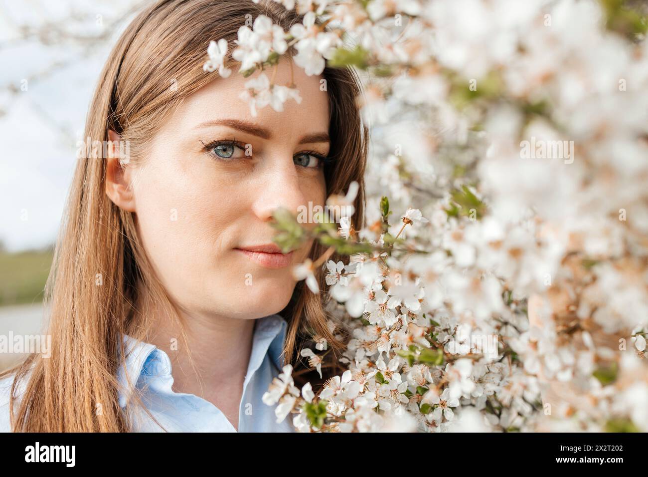 Frau mit braunen Haaren in der Nähe blühender Kirschbäume Stockfoto