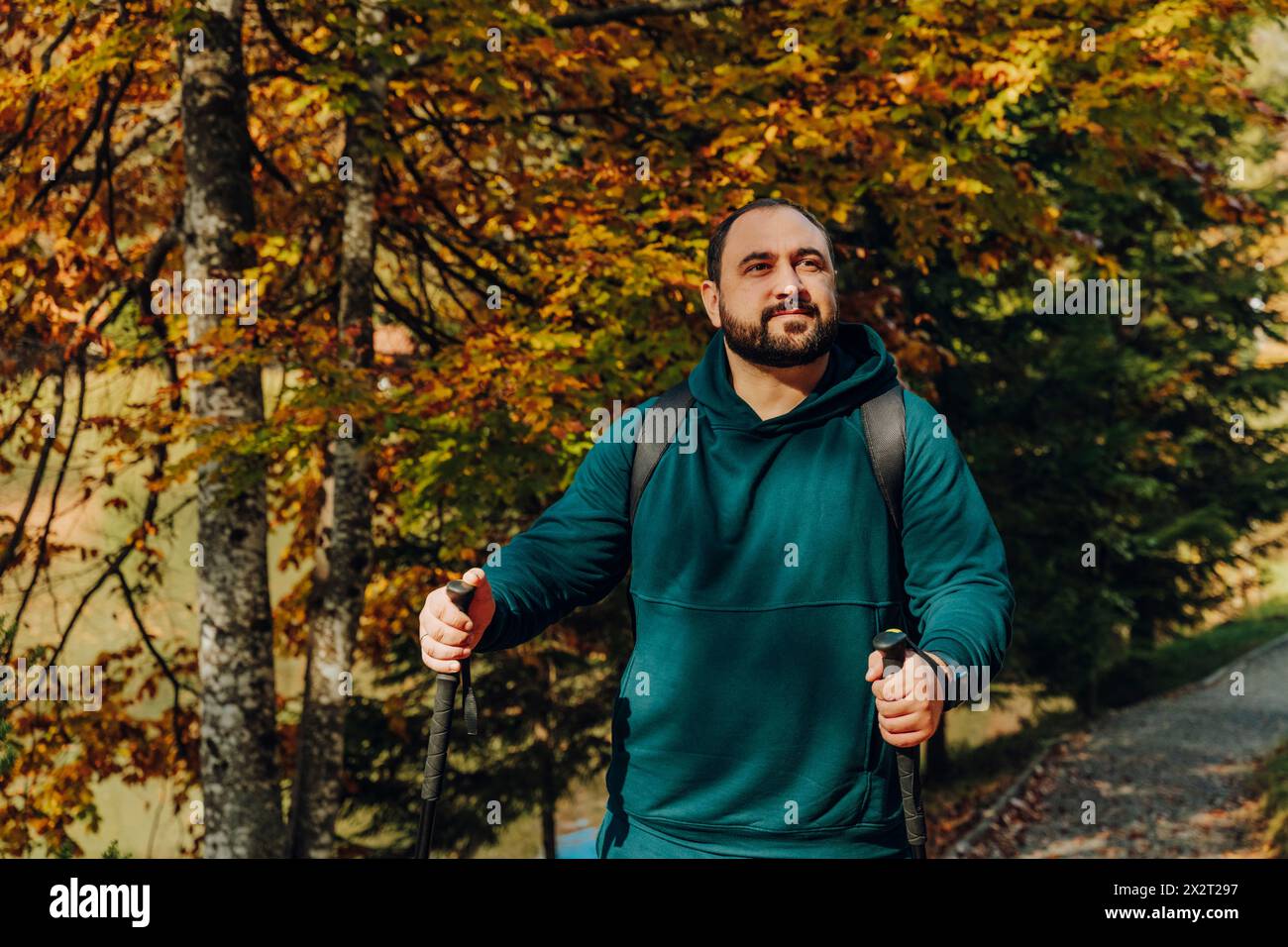 Wanderungen mit Wanderstöcken im Wald Stockfoto
