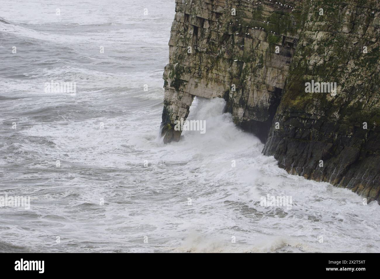 Wellen schlagen gegen die Bempton Cliffs im East Riding of Yorkshire, Großbritannien Stockfoto