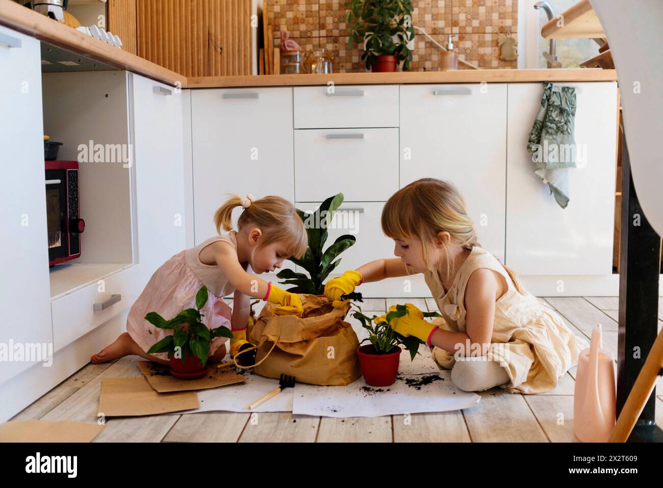 Mädchen, die zu Hause in der Küche arbeiten Stockfoto