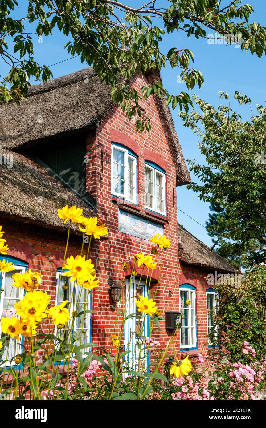 Deutschland, Schleswig-Holstein, Amrum, Blumen blühen vor einem rustikalen Haus mit Strohdach Stockfoto