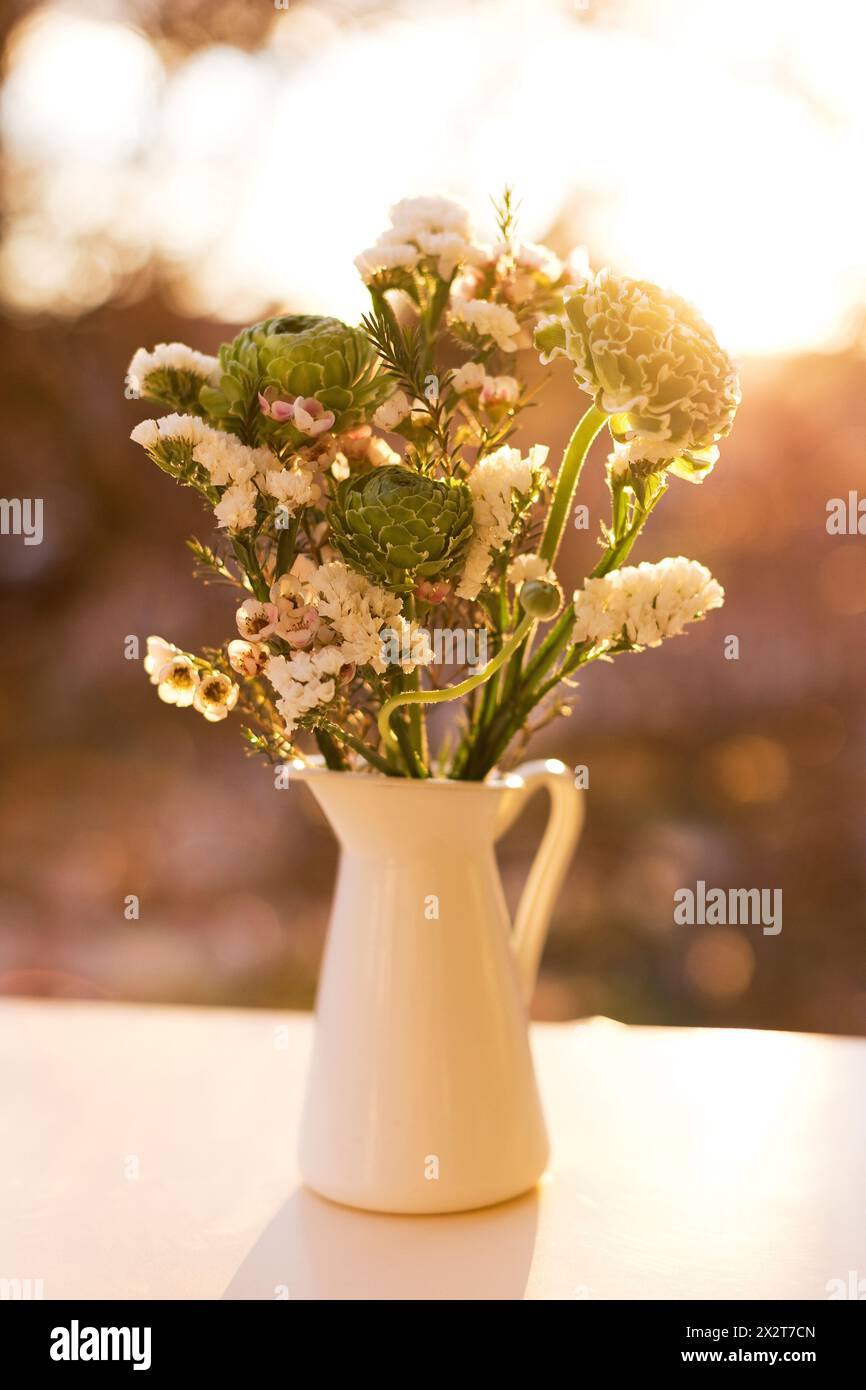 Blumenstrauß aus grünem Ranunkel und weißen Chamelaucium-Blüten Stockfoto