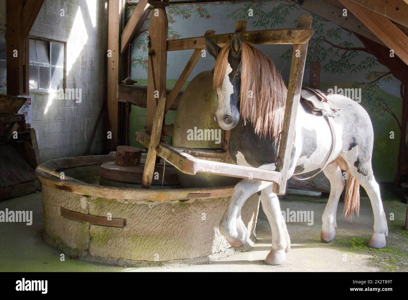 Mill House Cider Museum, Owermoigne, Nr Dorchester, Dorset, England Stockfoto