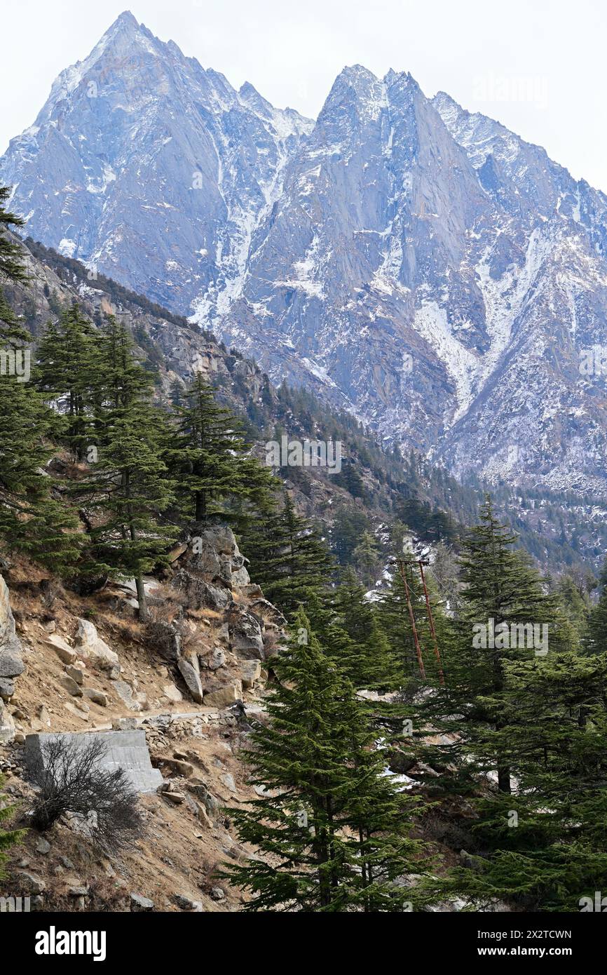 Schneebedeckte Gipfel des Himalaya mit Kiefernwäldern aus dem Sangla Valley, Kinnaur, Himachal Pradesh, Indien im Frühjahr. Stockfoto