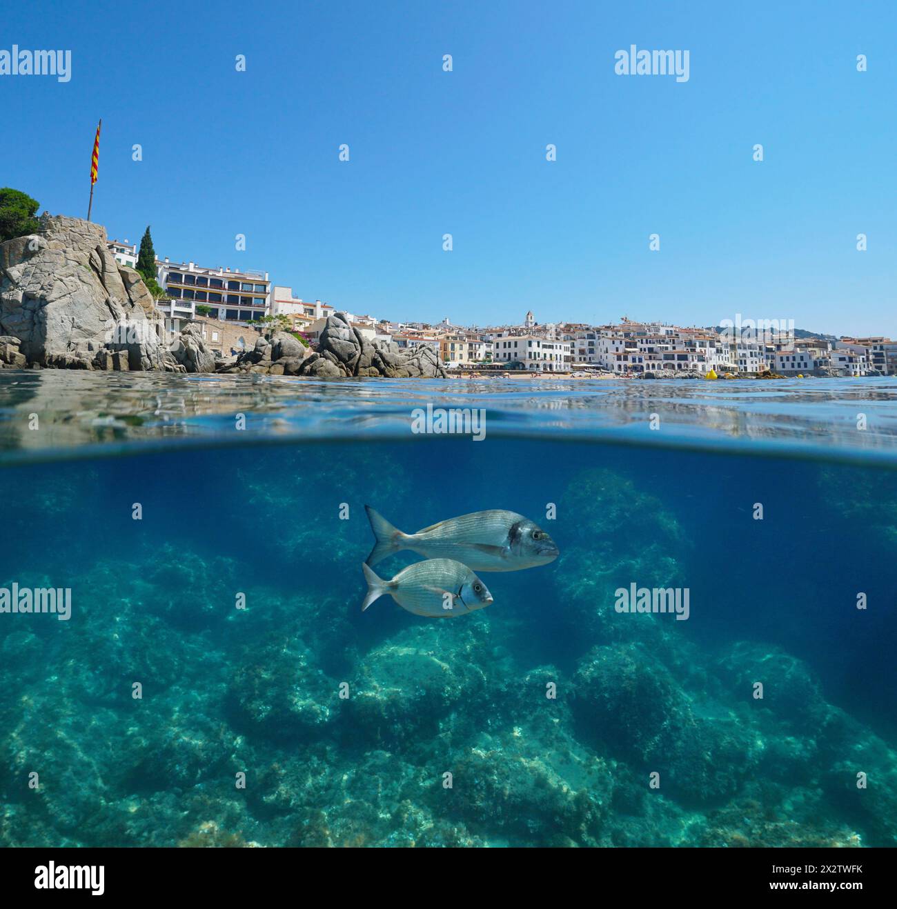 Küstenstadt Calella de Palafrugell an der Mittelmeerküste in Spanien von der Meeresoberfläche mit Fisch unter Wasser, natürliche Szene, geteilter Blick Stockfoto