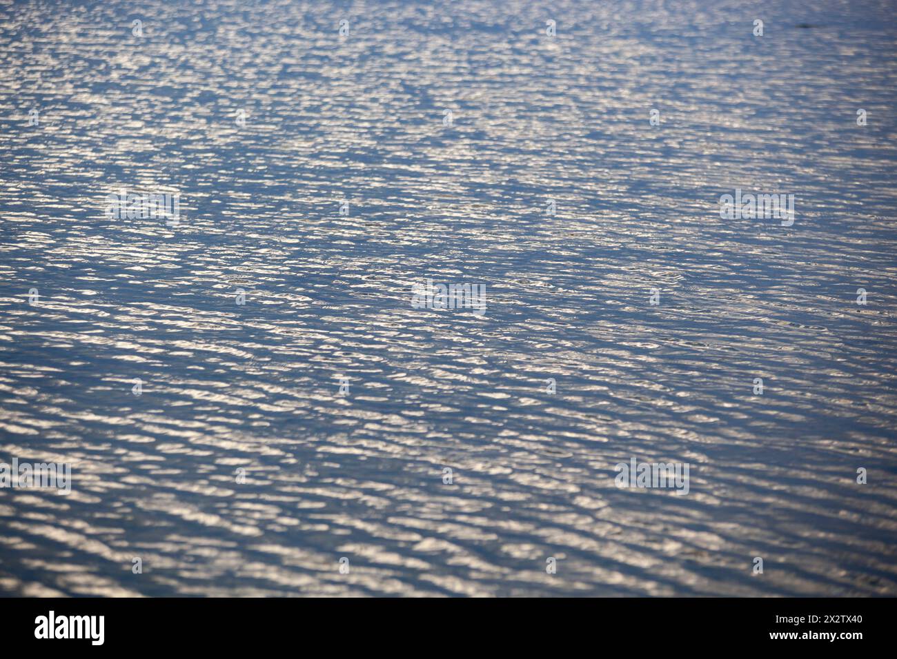 Meeresoberfläche aus der Vogelperspektive. Foto von blauen Wellen und Oberflächenstruktur des Wassers. Blauer Meereshintergrund. Horizontal Stockfoto