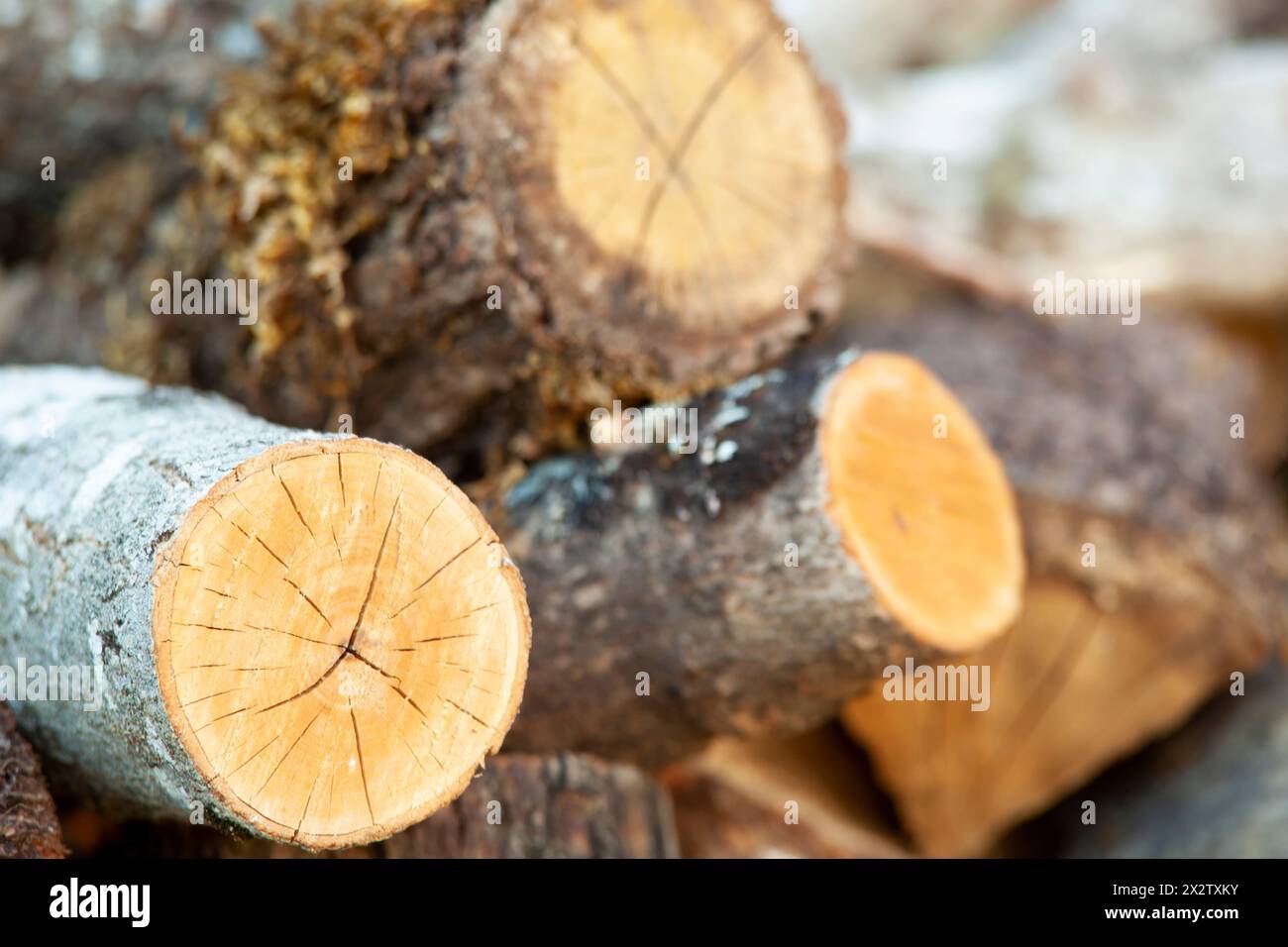 Natürlicher hölzerner Hintergrund - Nahaufnahme von gehacktem Brennholz. Ein Haufen Brennholz gestapelt und für den Winter vorbereitet. Horizontal. Hintergrund Stockfoto