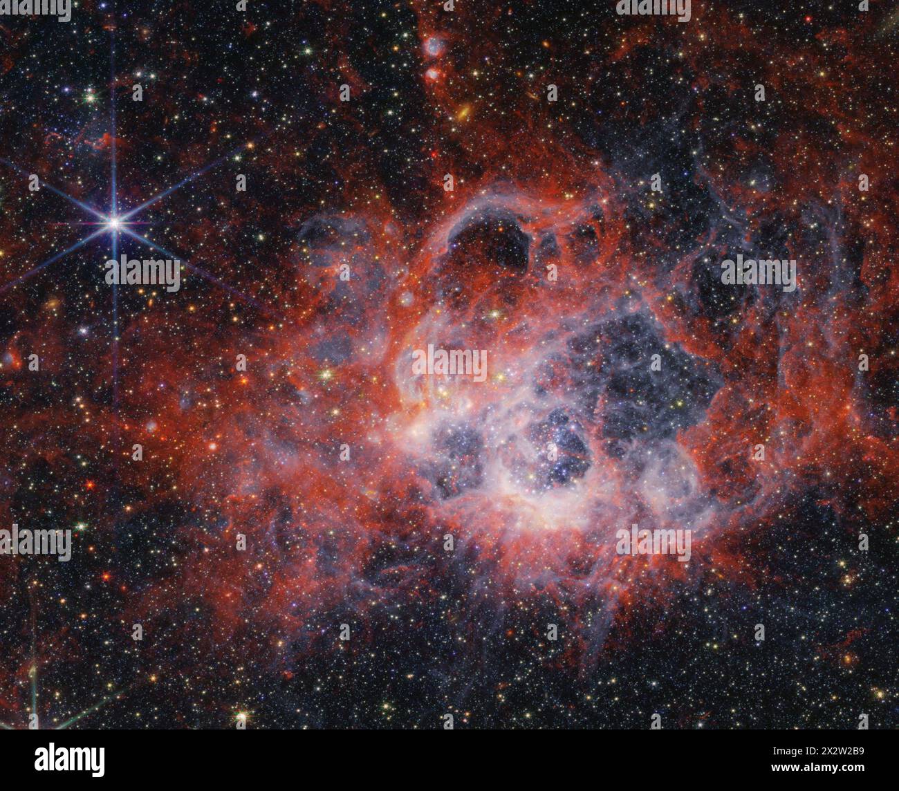 21. April 2024, Space: James Webb Space Telescope NIRCam (Near-Infrared Camera) Bild der Sternentstehungsregion NGC 604 zeigt, wie Sternwinde von hellen, heißen jungen Sternen Hohlräume in Gas und Staub herausschneiden. Die hellorangefarbenen Streifen in diesem Bild deuten auf das Vorhandensein von Kohlenstoffmolekülen hin, die als polyzyklische aromatische Kohlenwasserstoffe oder PAK bekannt sind. Wenn Sie sich weiter von den unmittelbaren Staubhöhlen, wo sich der Stern bildet, entfernen, steht das tiefere Rot für molekularen Wasserstoff. Dieses kühlere Gas ist eine ideale Umgebung für die Sternentstehung. Ionisierter Wasserstoff aus ultravioletter Strahlung von Appa Stockfoto