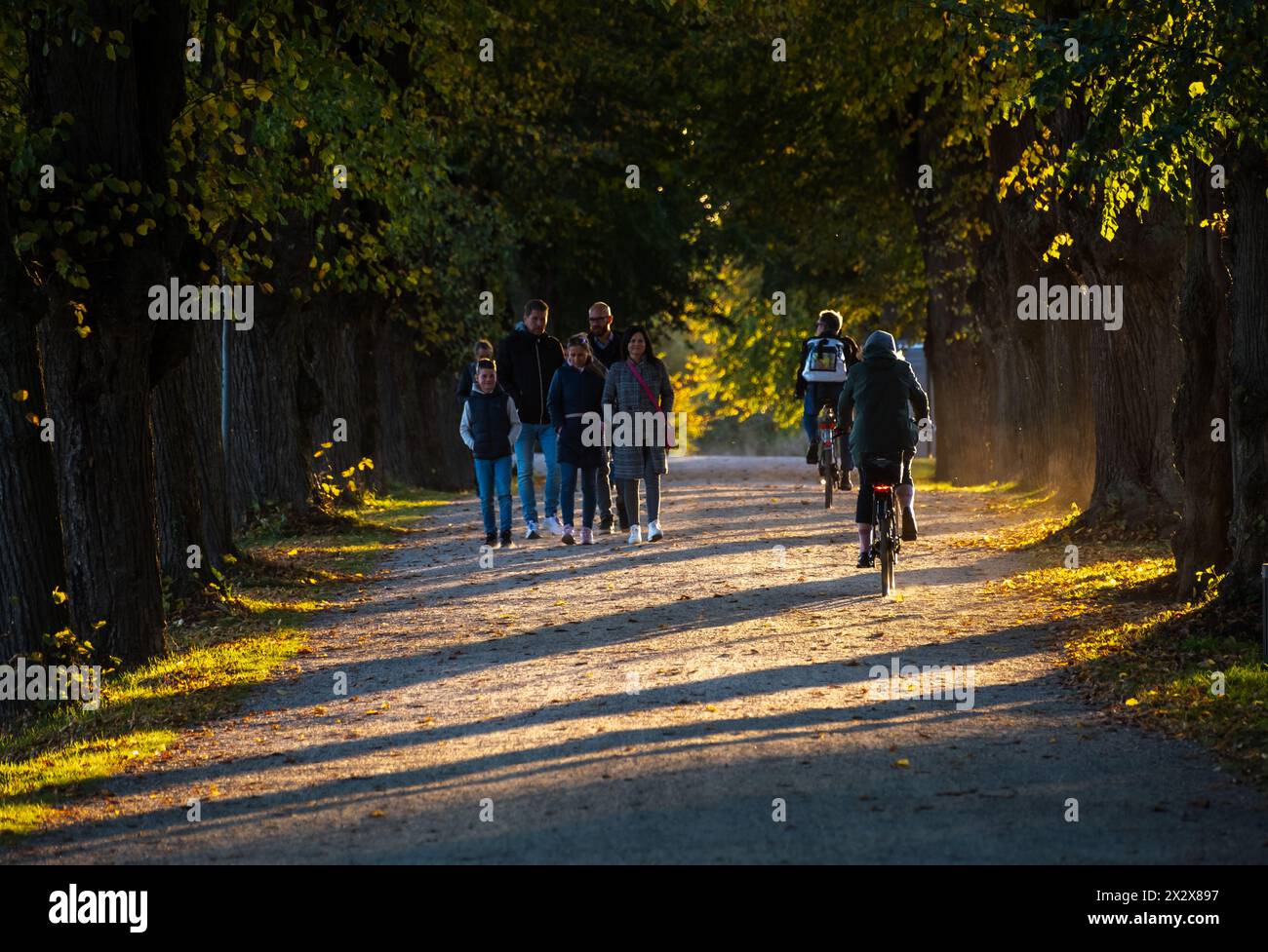 12.10.2022, Kluetz, Mecklenburg-Vorpommern, Deutschland - Fußgänger und Radfahrer auf einer Allee in der Nähe von Schloss Bothmer. 00A221012D283CAROEX.JPG [MODELL Stockfoto