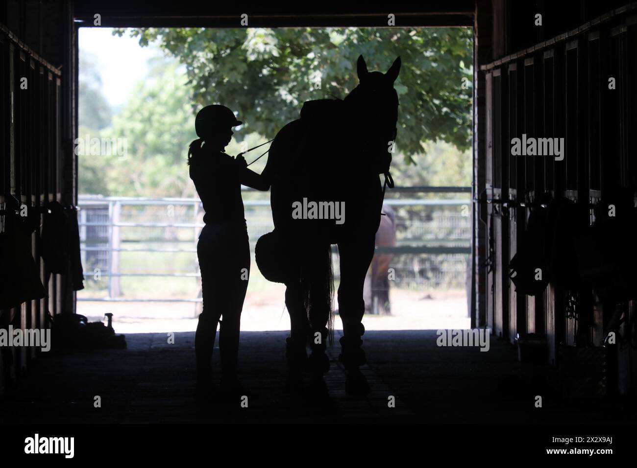 11.06.2023, Brieselang, Brandenburg, Deutschland - Silhouette von Reiter und Pferd in einer Stallspur. 00S230611D512CAROEX.JPG [MODELLFREIGABE: NEIN, EIGENSCHAFTSFREIGABE RE Stockfoto