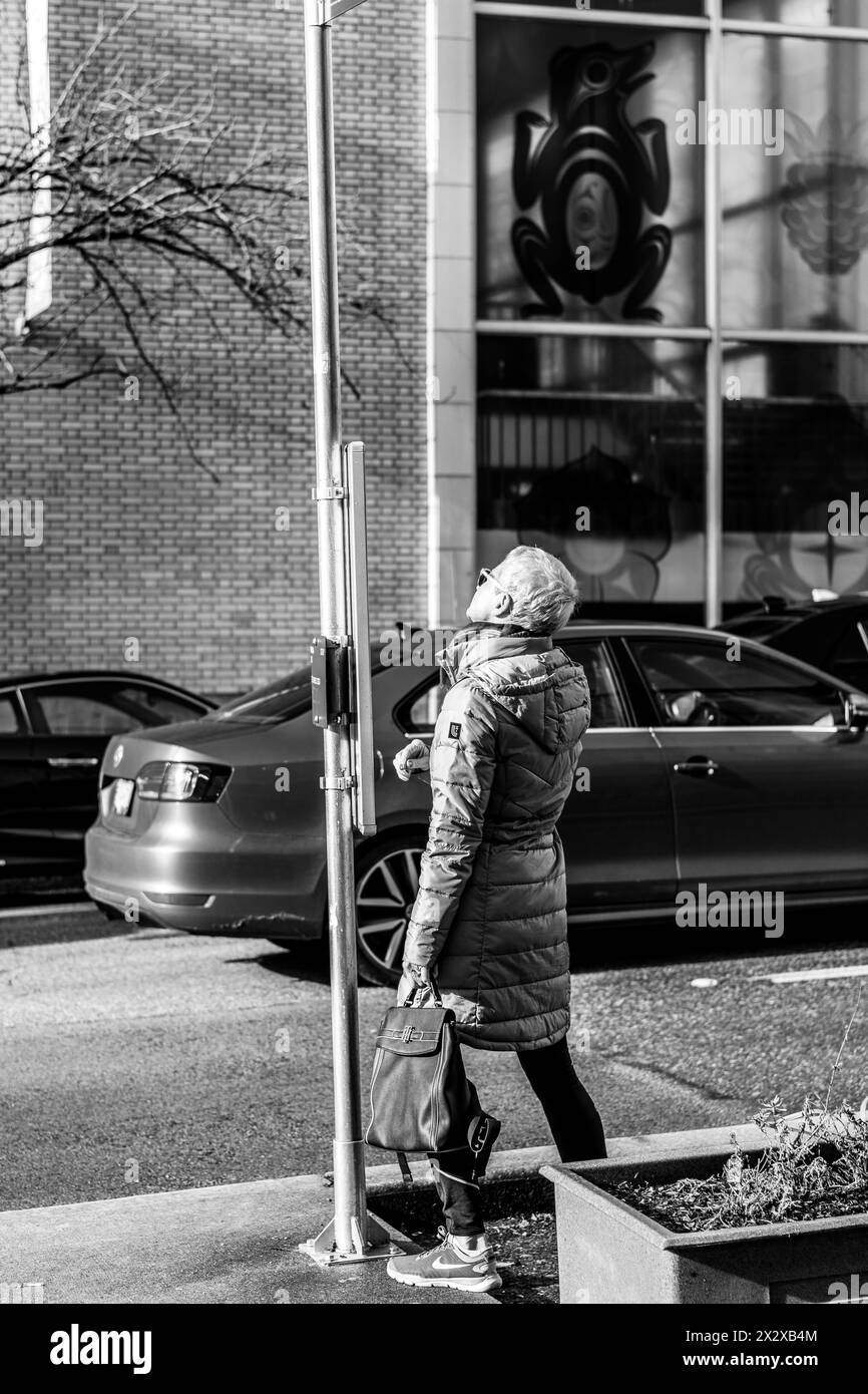 Eine schlanke, athletisch aussehende Seniorin, die den Fahrplan an einer Bushaltestelle berät. Auf der anderen Straßenseite ist ein Gebäude mit bemalten Glasscheiben zu sehen. Stockfoto