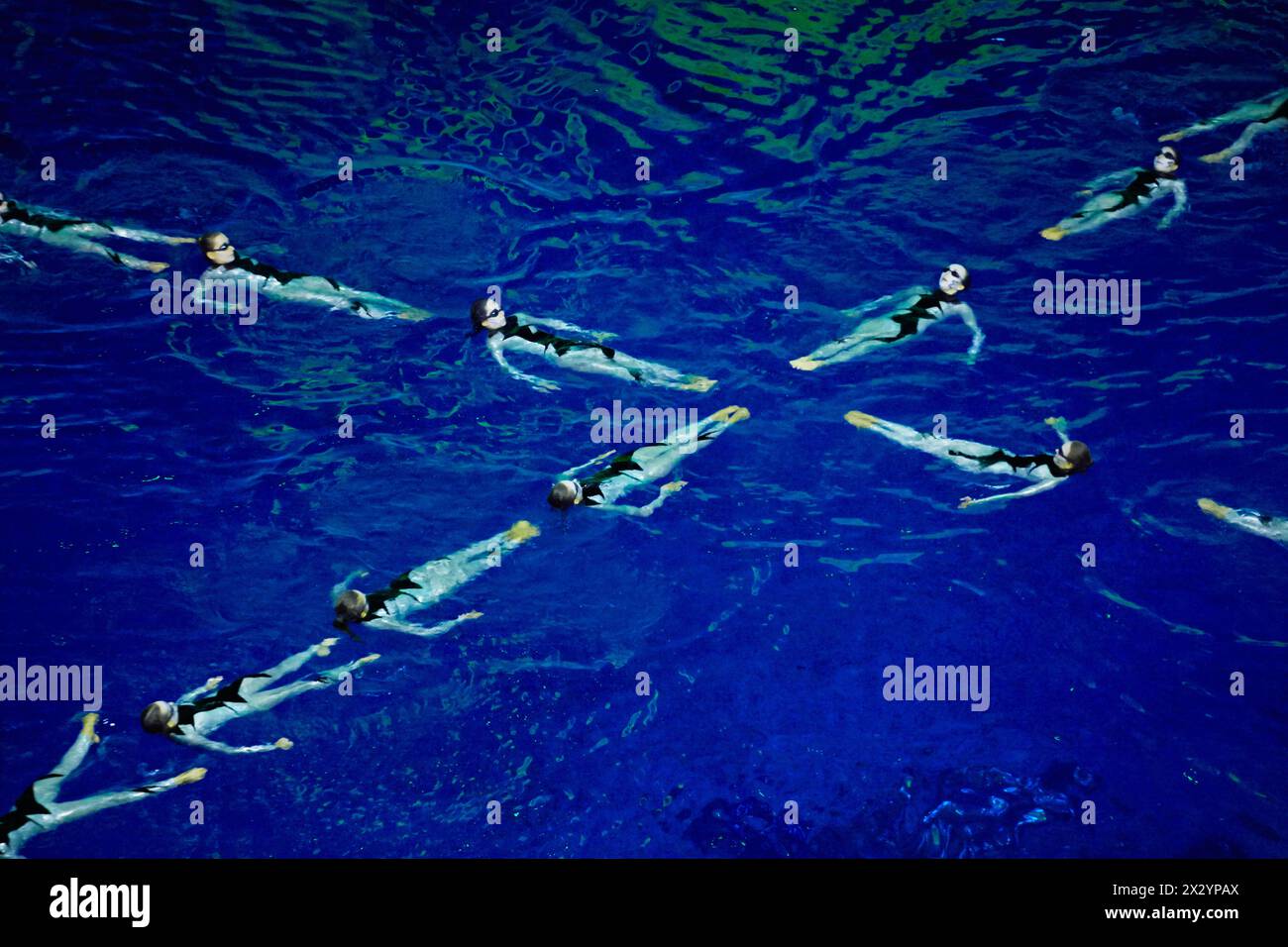 MOSKAU - 4. JAN: Synchronisierte Schwimmer-Performance im Schwimmbad des Sportkomplexes Olympyisky während der Musical Show Through the Looking Glass, Januar Stockfoto