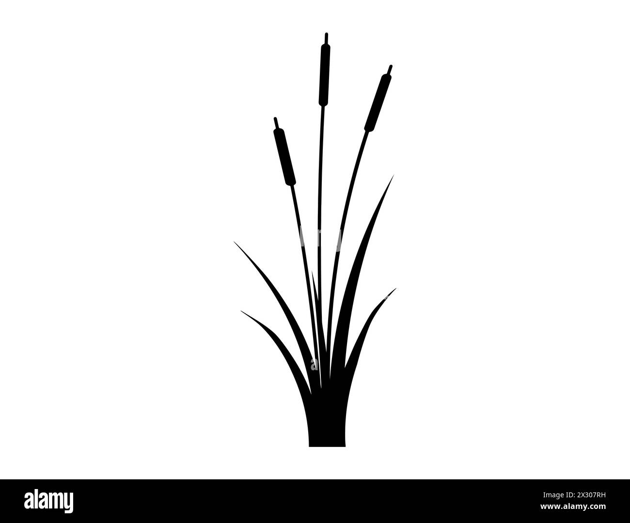 Cattail Silhouette Vektorgrafik Stock Vektor