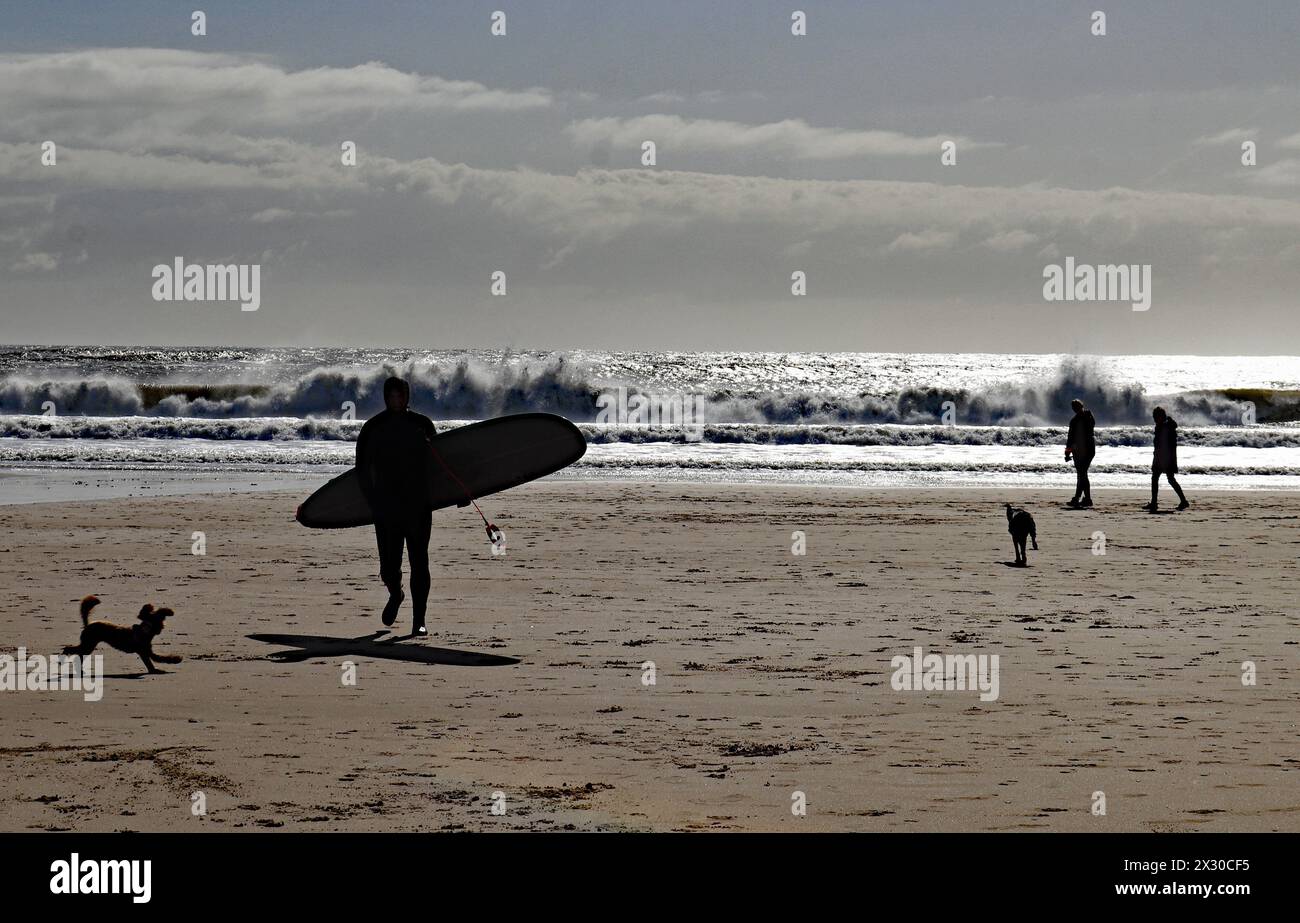 An einem Frühlingsmorgen spaziert ein Surfer am Strand des Seebades Seaburn entlang, während Hunde und ihre Besitzer einen Spaziergang entlang der Gezeitenlinie machen. Stockfoto