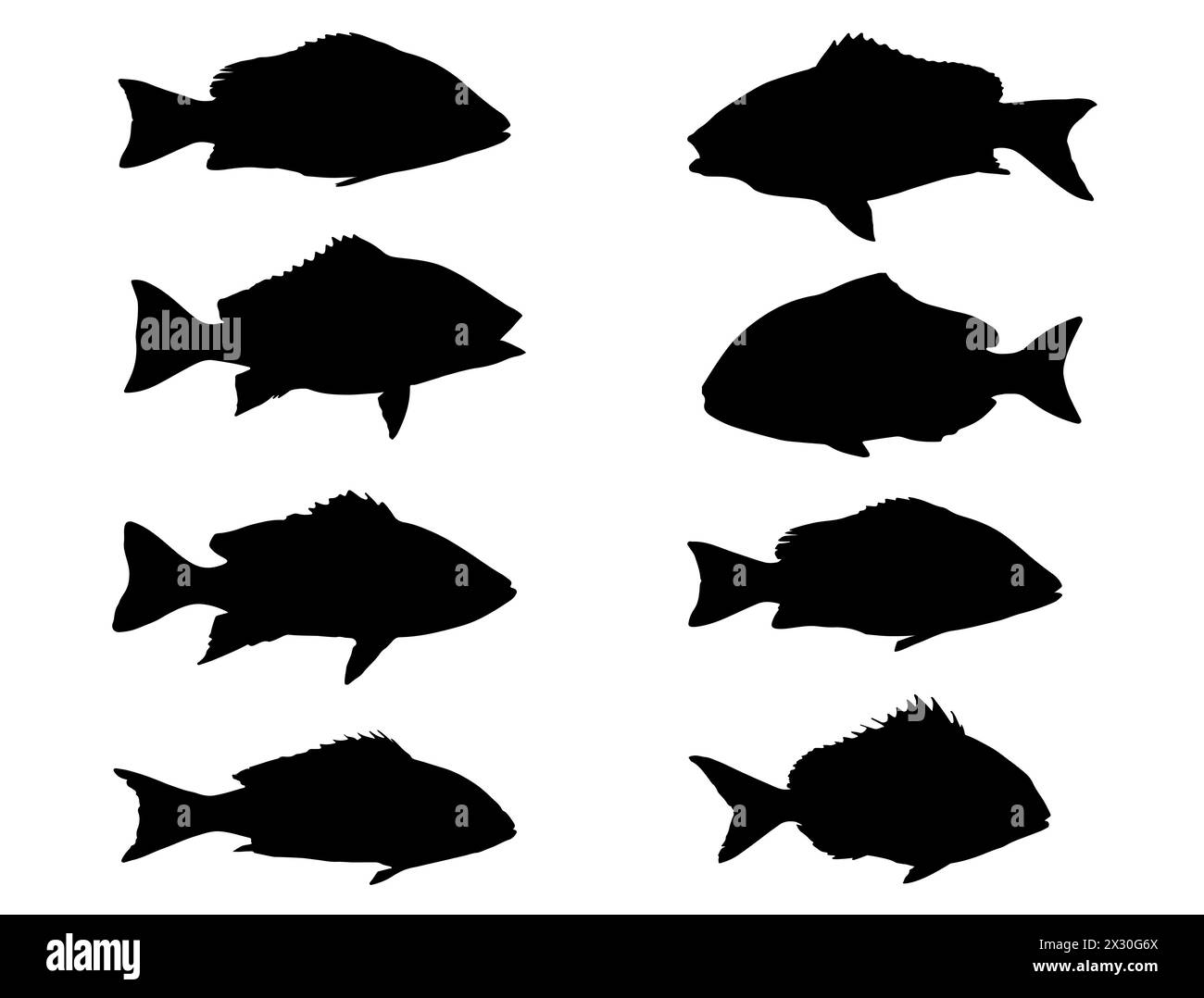 Schnapper Fisch Silhouette Vektorkunst Stock Vektor