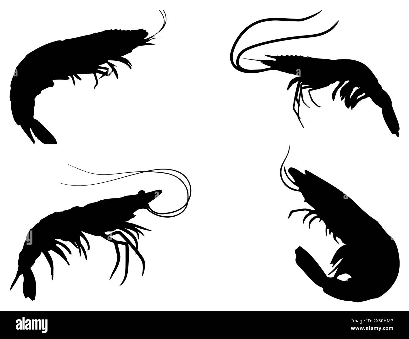 Shrimps Silhouette Vektorgrafik Stock Vektor