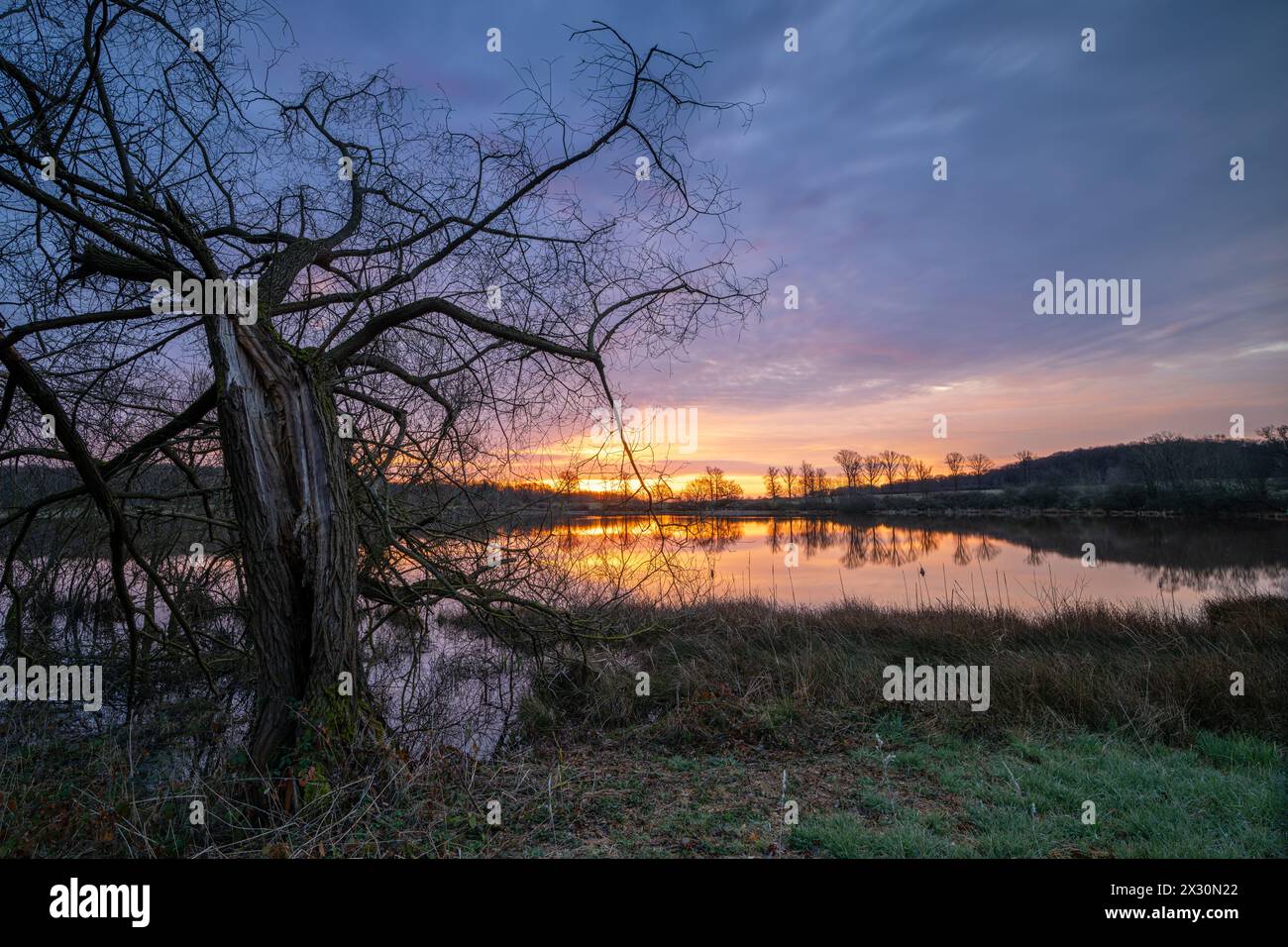 Panoramabild des Roddersees bei Sonnenaufgang, Eifel, Rheinland-Pfalz, Deutschland Stockfoto
