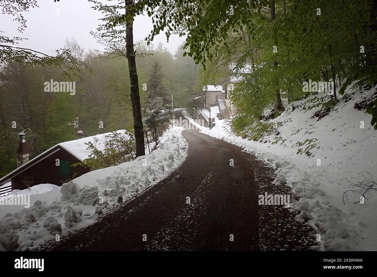 Am 21. April bedeckte der starke Schneefall die Bocca della Selva, ein Weiler in der Gemeinde Cusano Mutri, die auf etwa 1400 Metern über dem Meeresspiegel liegt. Stockfoto