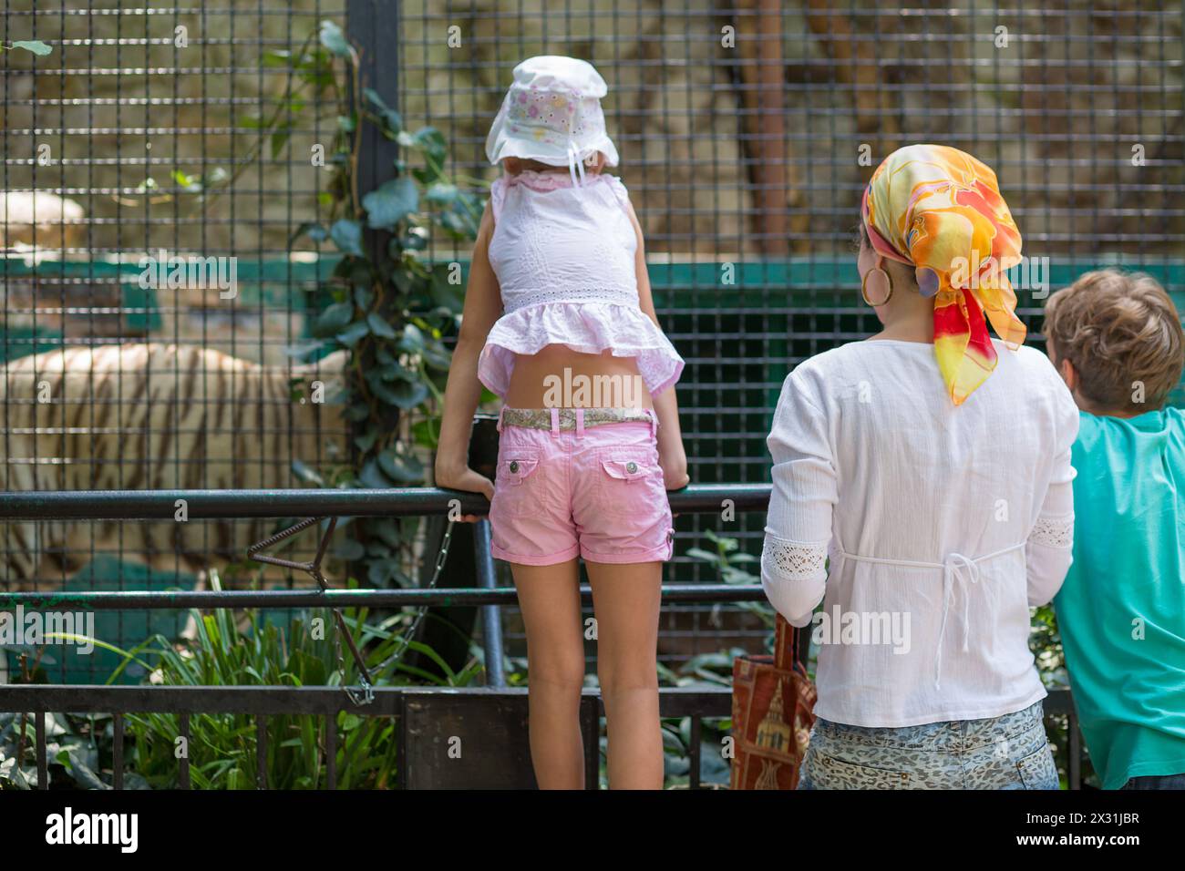 Eine dreiköpfige Familie im Zoo sieht den Tiger in einem Käfig an Stockfoto