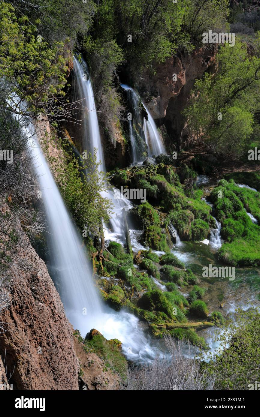 Geografie / Reisen, USA, Colorado, Rifle, Rifle Falls, Rifle Falls State Park, ADDITIONAL-RIGHTS-CLEARANCE-INFO-NOT-AVAILABLE Stockfoto
