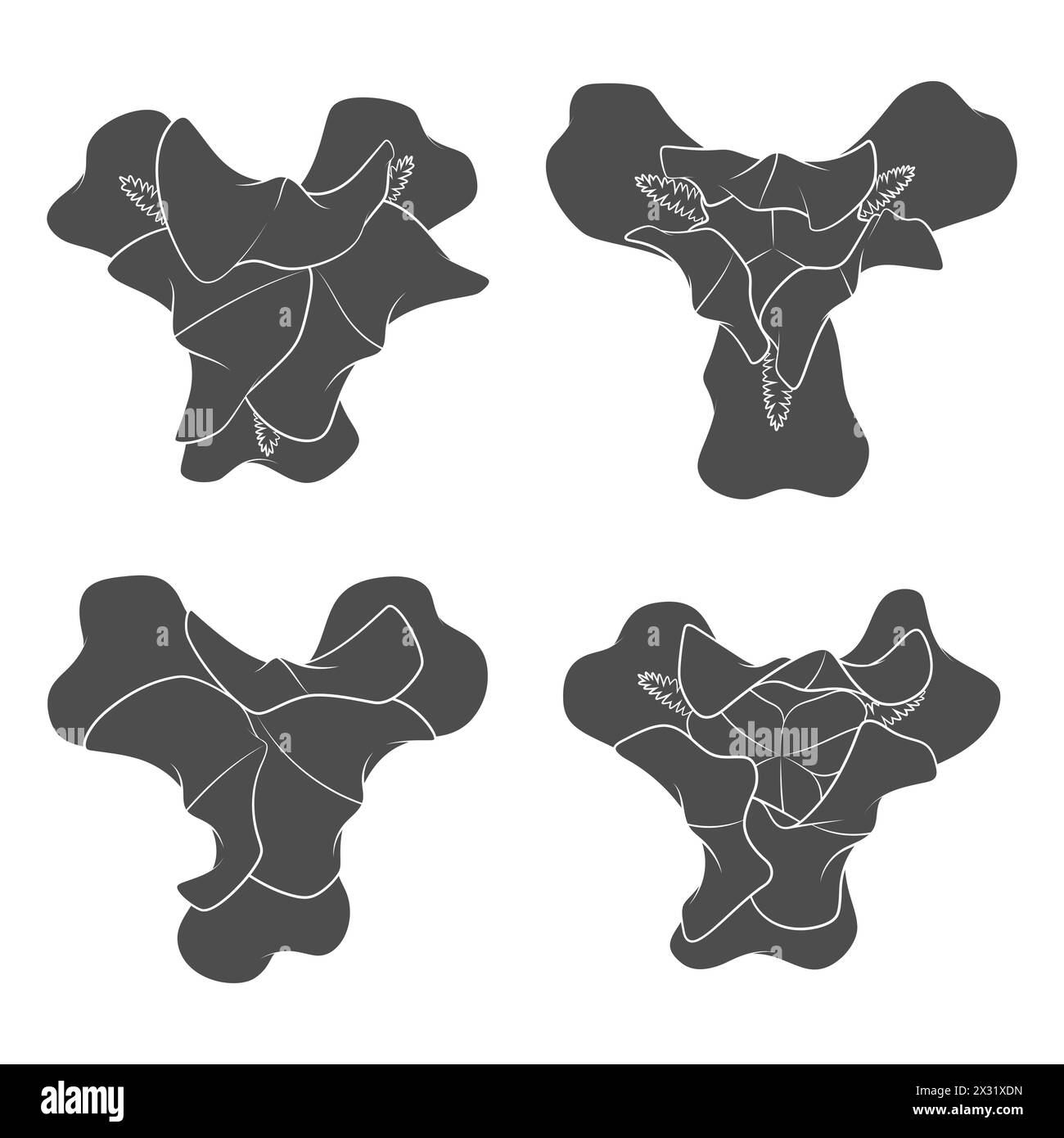 Set mit schwarzen und weißen Illustrationen mit Irisblüten. Isolierte Vektorobjekte auf weißem Hintergrund. Stock Vektor