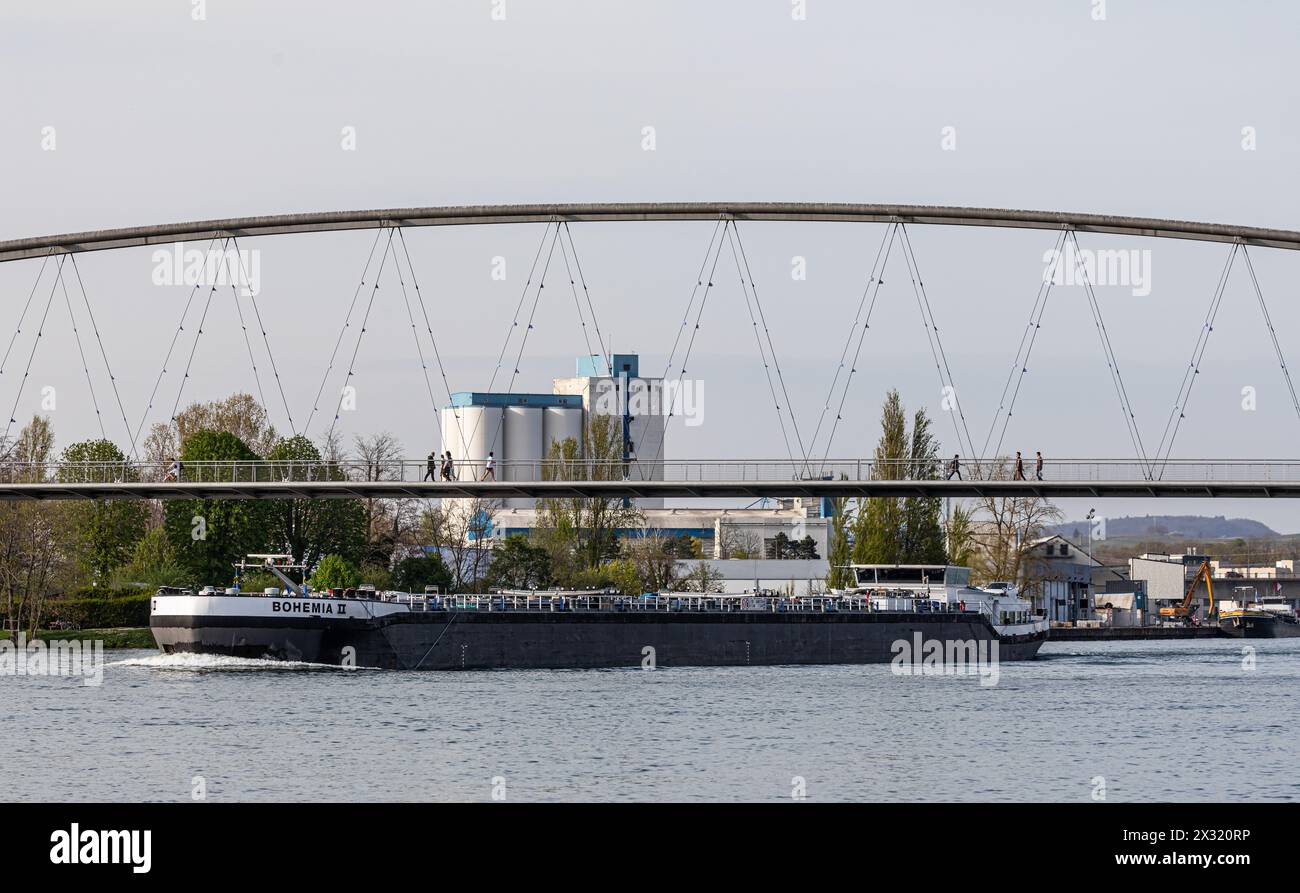 Das Rheinschiff Bohemia II fährt entgegen dem Strom Richtung Birsfelden. (Basel, Schweiz, 13.04.2022) Stockfoto