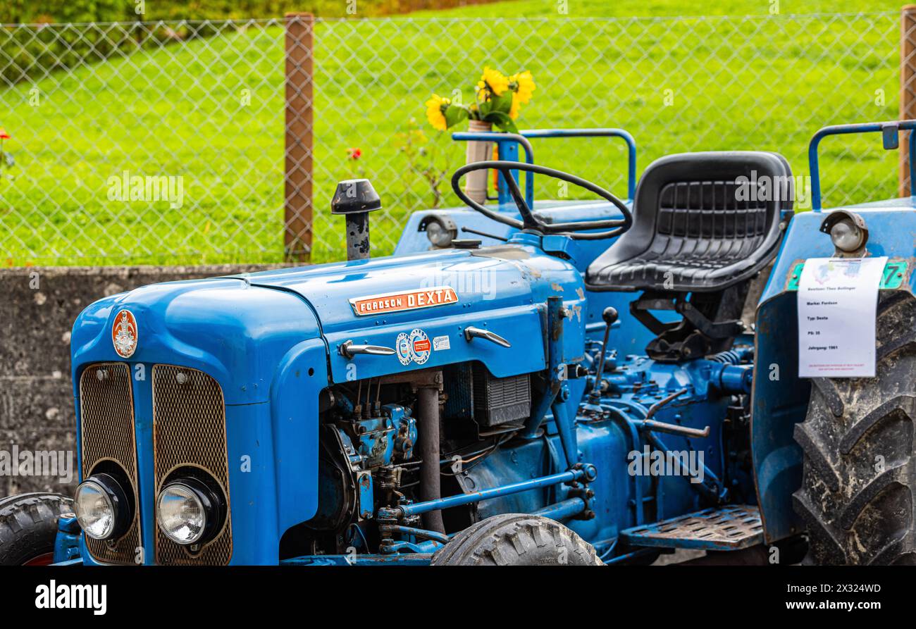 Ein Fordson Dexta Traktor mit Baujahr 1961 i st an der Herbstmesse Rafz ausgestellt. (Rafz, Schweiz, 25.09.2022) Stockfoto
