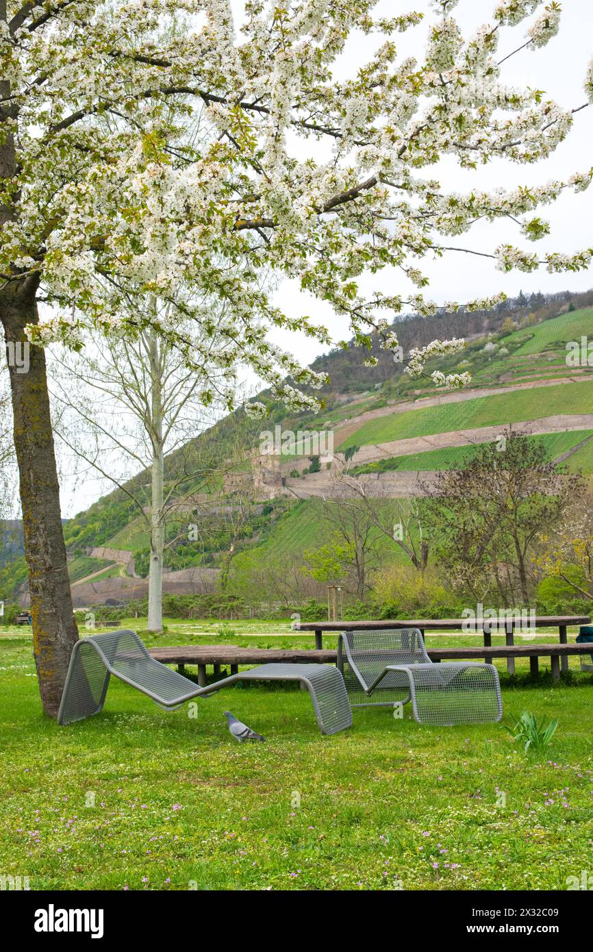 Schöner Park in Europa im Frühling in der Nähe eines Flusses. Ein Stuhl unter dem Baum. Entspannen Sie sich in der Natur. Stockfoto