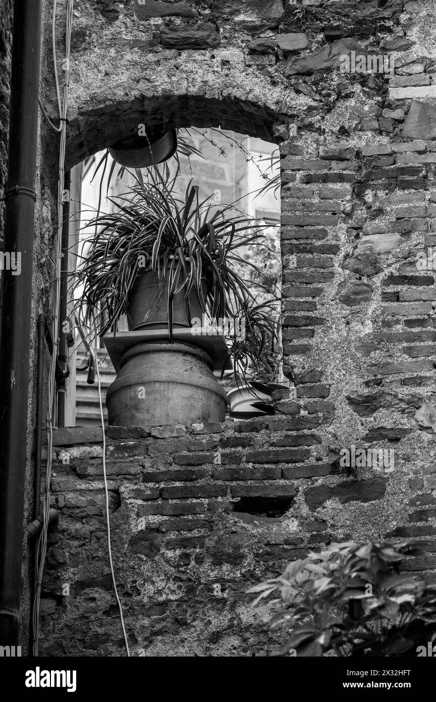 Die Magie der Cinque Terre. Farben der Häuser und des Meeres von ​​Corniglia Stockfoto