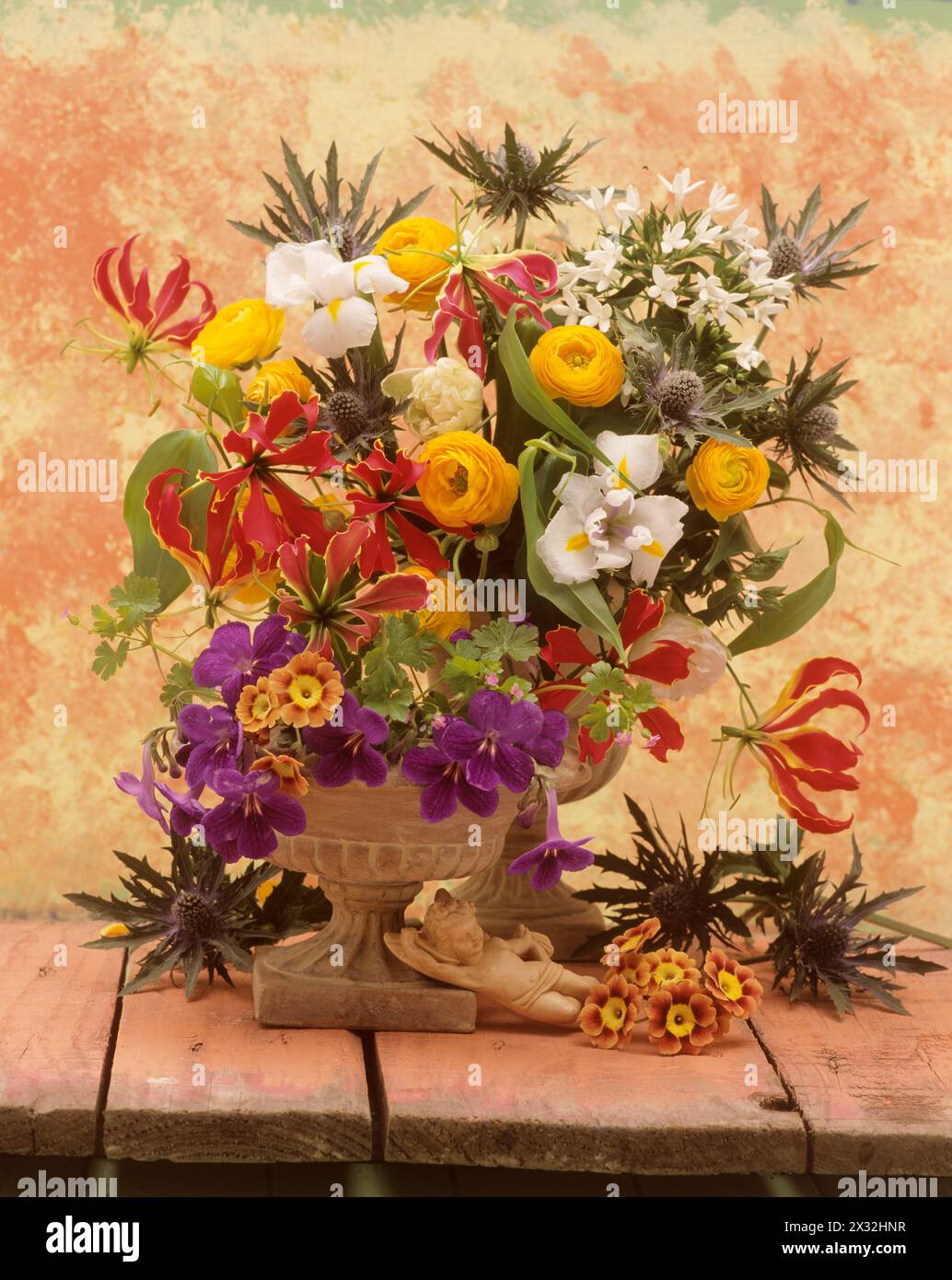 Botanik, Blumen in Urnen auf einem Holztisch mit gemaltem Hintergrund. ranunkulus, primuale Auricula, ADDITIONAL-RIGHTS-CLEARANCE-INFO-NOT-AVAILABLE Stockfoto