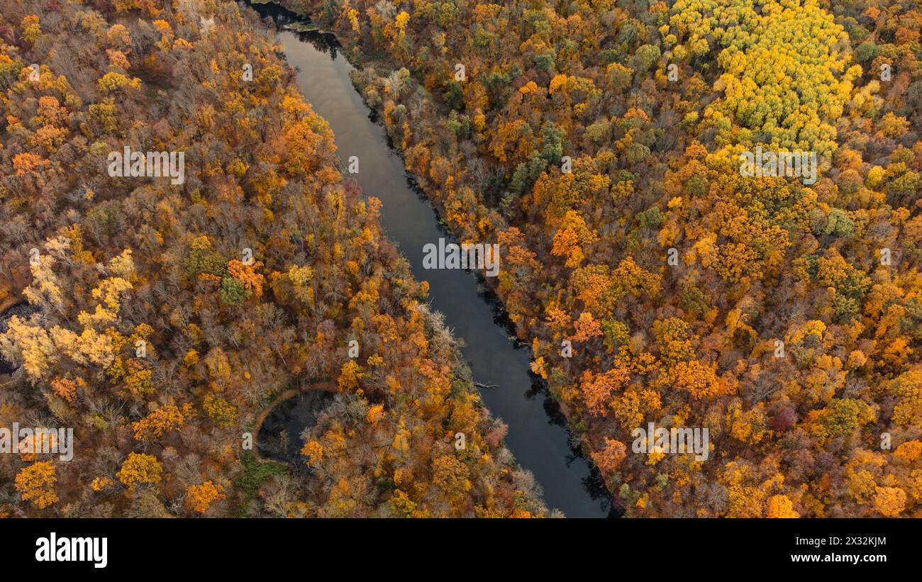 Herbstlicher Luftblick auf die Flusskurve in Wäldern. Herbstliche Natur mit goldenen Bäumen auf Uferhügeln Stockfoto