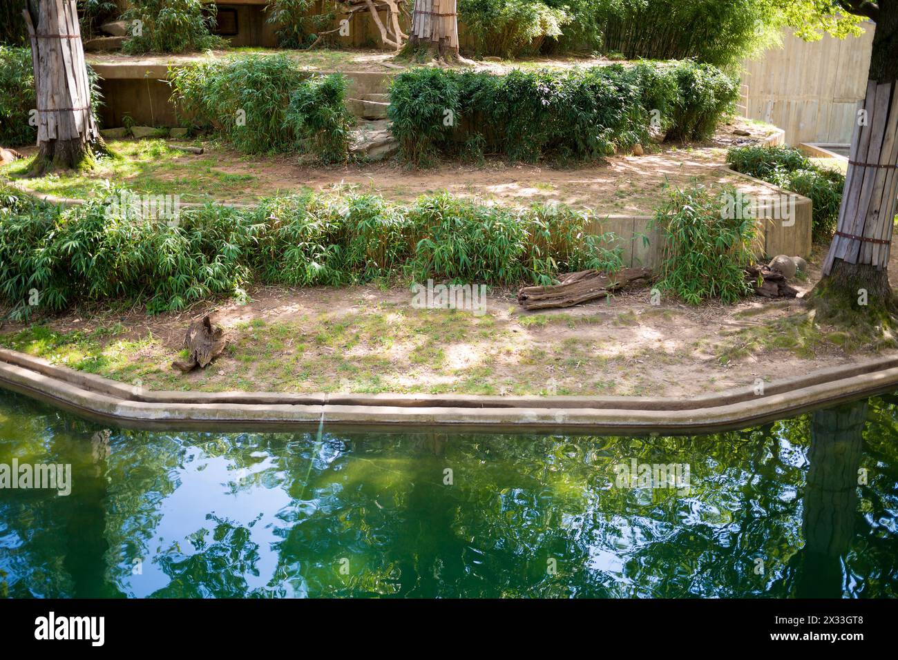 USA, WASHINGTON - 28. August 2014: Pennage for Animal with a Teich im Smithsonian National Zoo. Stockfoto