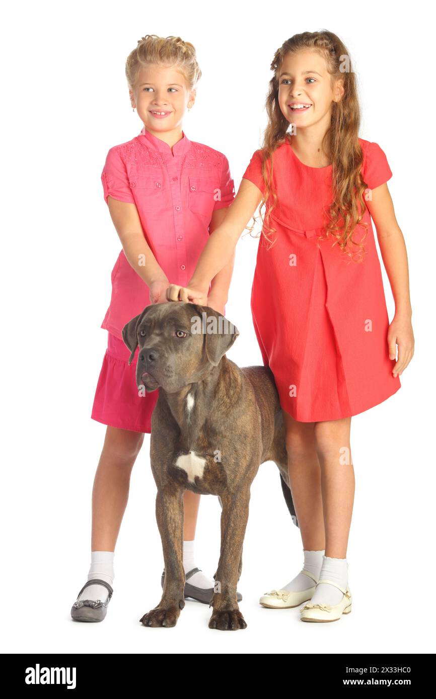 Zwei schöne Mädchen streicheln fröhlich einen großen Hundekopf isoliert auf weiß. Konzentriere dich auf das Mädchen in rotem Kleid Stockfoto