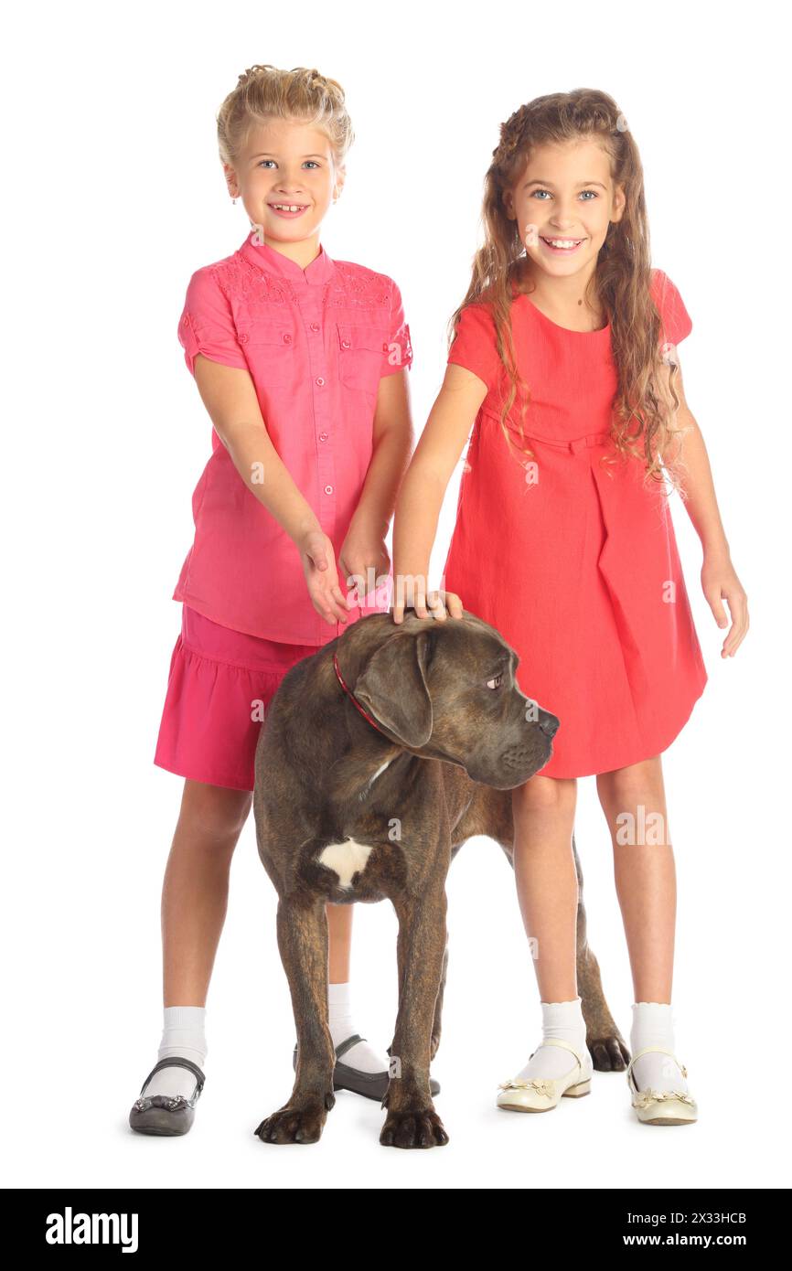 Zwei schöne Mädchen mit einem großen Hund, isoliert auf weiß. Konzentriere dich auf das Mädchen in rotem Kleid Stockfoto