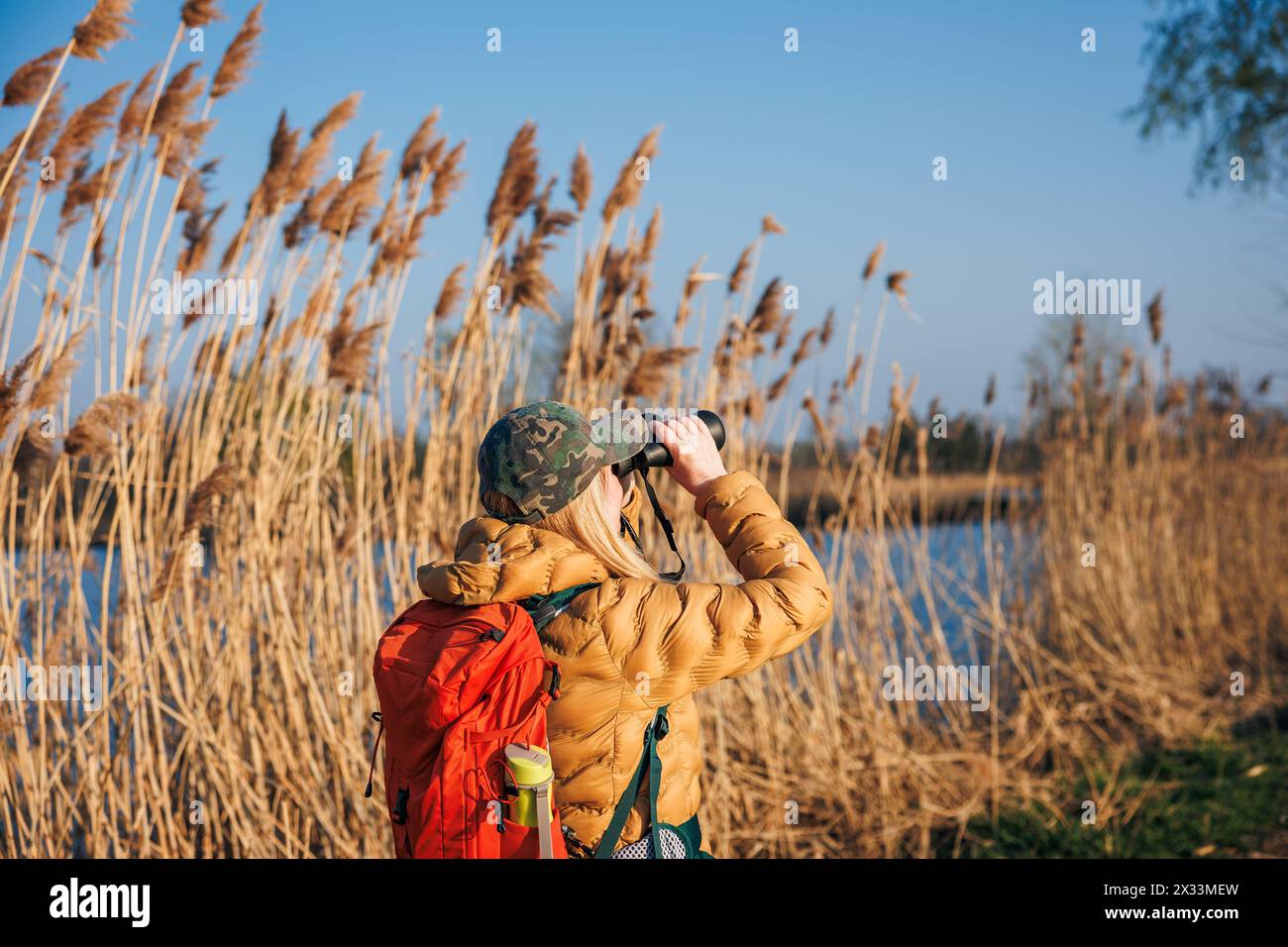 Vogelbeobachtung. Frau mit Fernglas auf der Suche nach Wildtieren und Vögeln am See Stockfoto