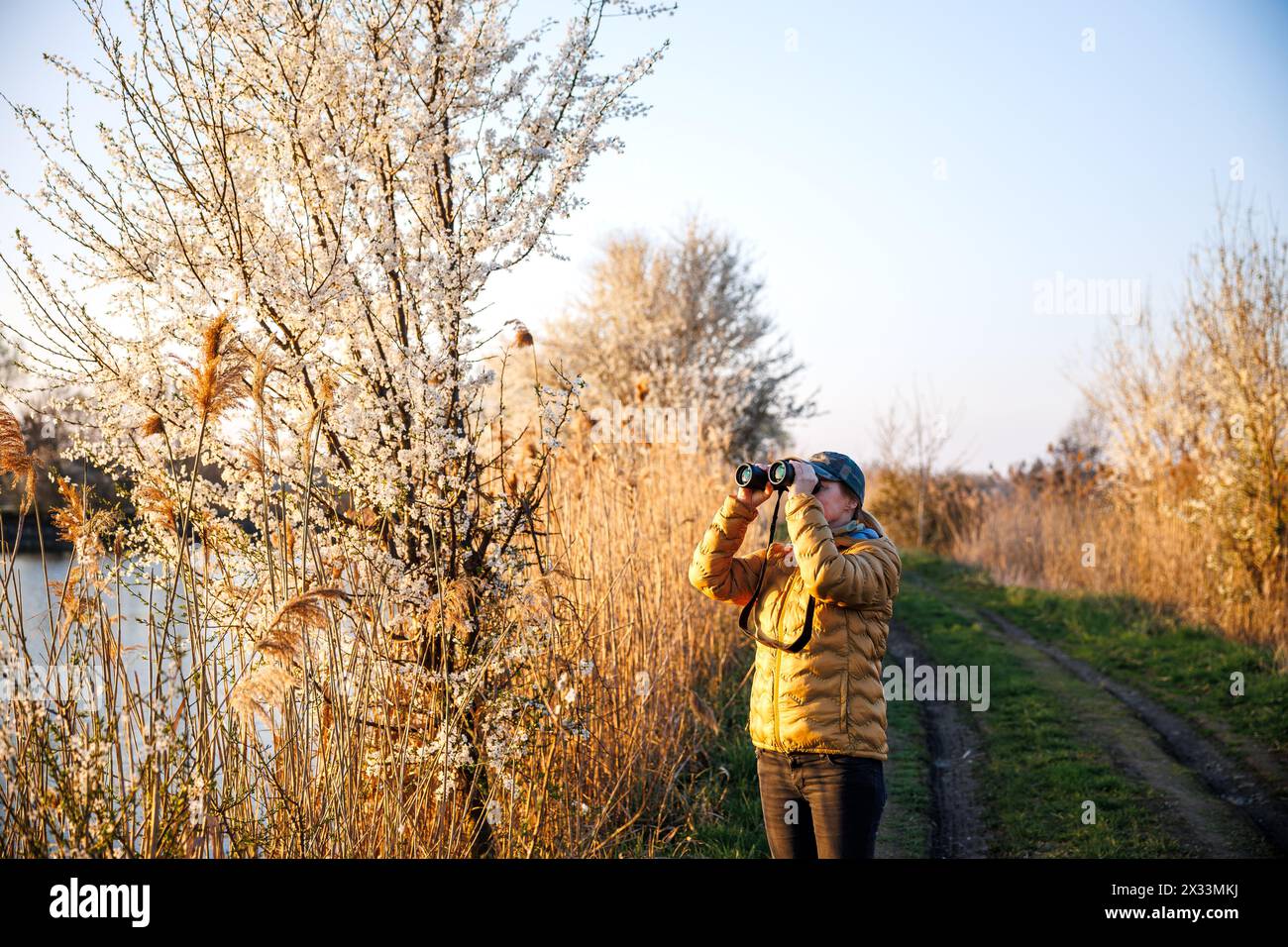 Vogelbeobachtung. Ornithologin mit Fernglas beobachtet Vögel, die im Frühjahr am See ankommen Stockfoto