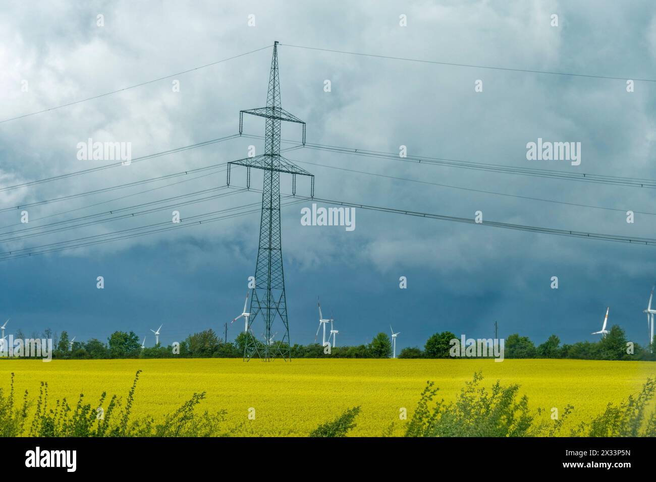 Strommast, Windräder, Rapsfeld, Frühling, Sachsen-Anhalt, Deutschland Stockfoto