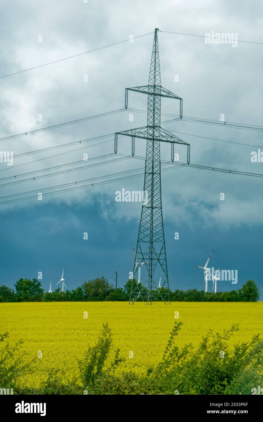 Strommast, Windräder, Rapsfeld, Frühling, Sachsen-Anhalt, Ostdeutschland, Deutschland Stockfoto