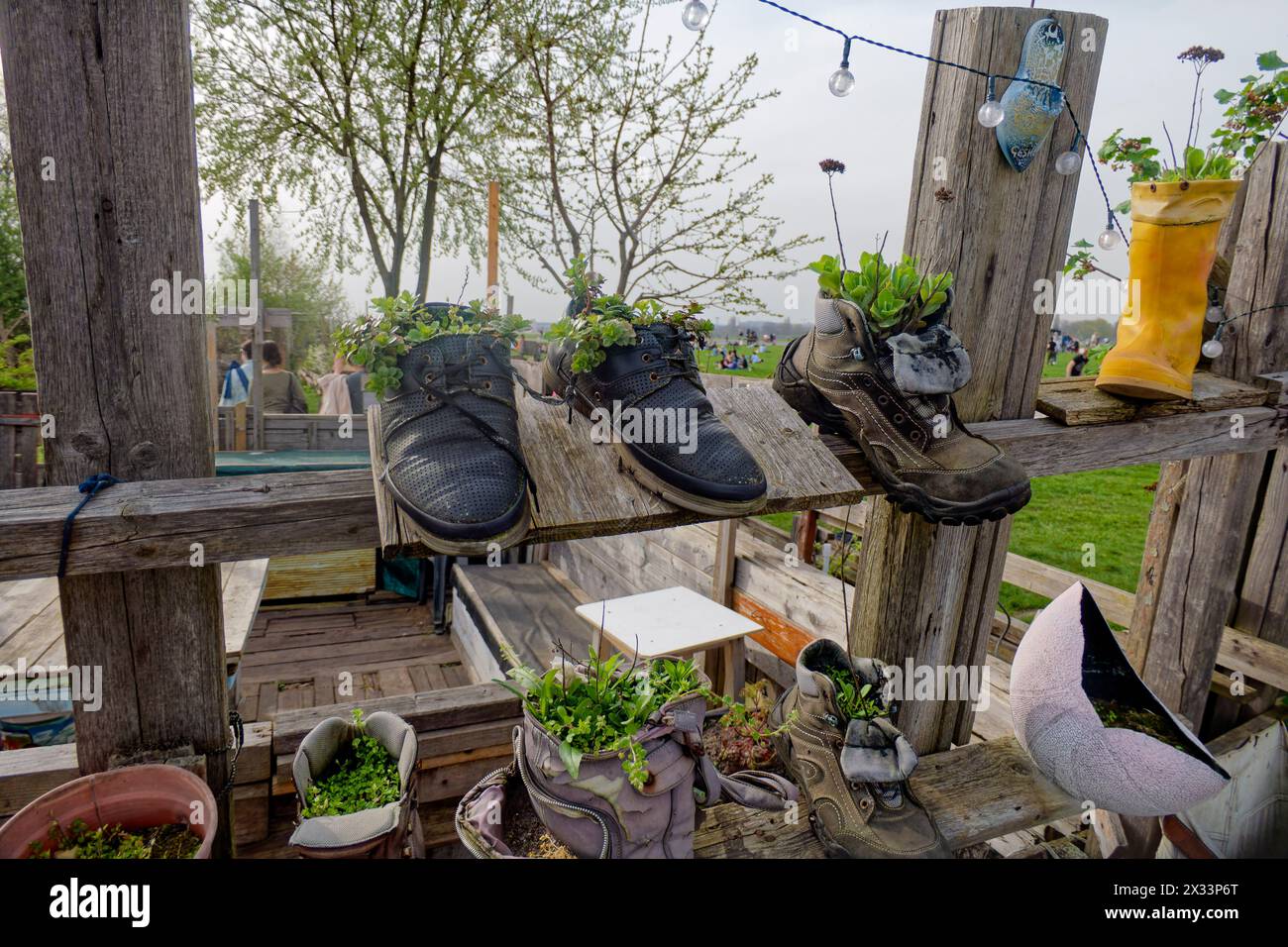 Frühling in Berlin 2024, Tempelhofer Feld, Pflanzen in Schuhen, Gemeinschaftsgarten, Berlin Stockfoto