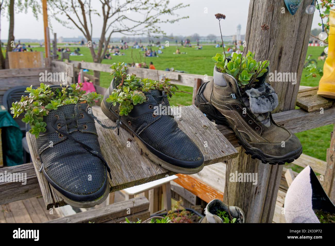Frühling in Berlin 2024, Tempelhofer Feld, Pflanzen in Schuhen, Gemeinschaftsgarten, Berlin Stockfoto