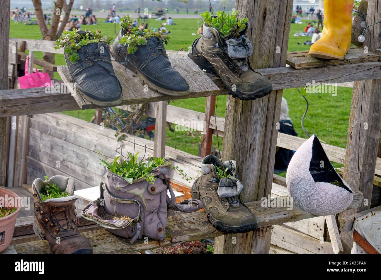 Frühling in Berlin 2024, Tempelhofer Feld, Pflanzen in Schuhen, Gemeinschaftsgarten, Berlin Stockfoto