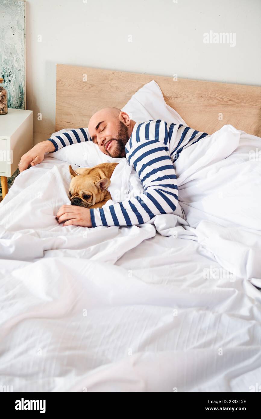 Ein Mann und seine liebenswerte französische Bulldogge kuscheln sich im Bett. Stockfoto