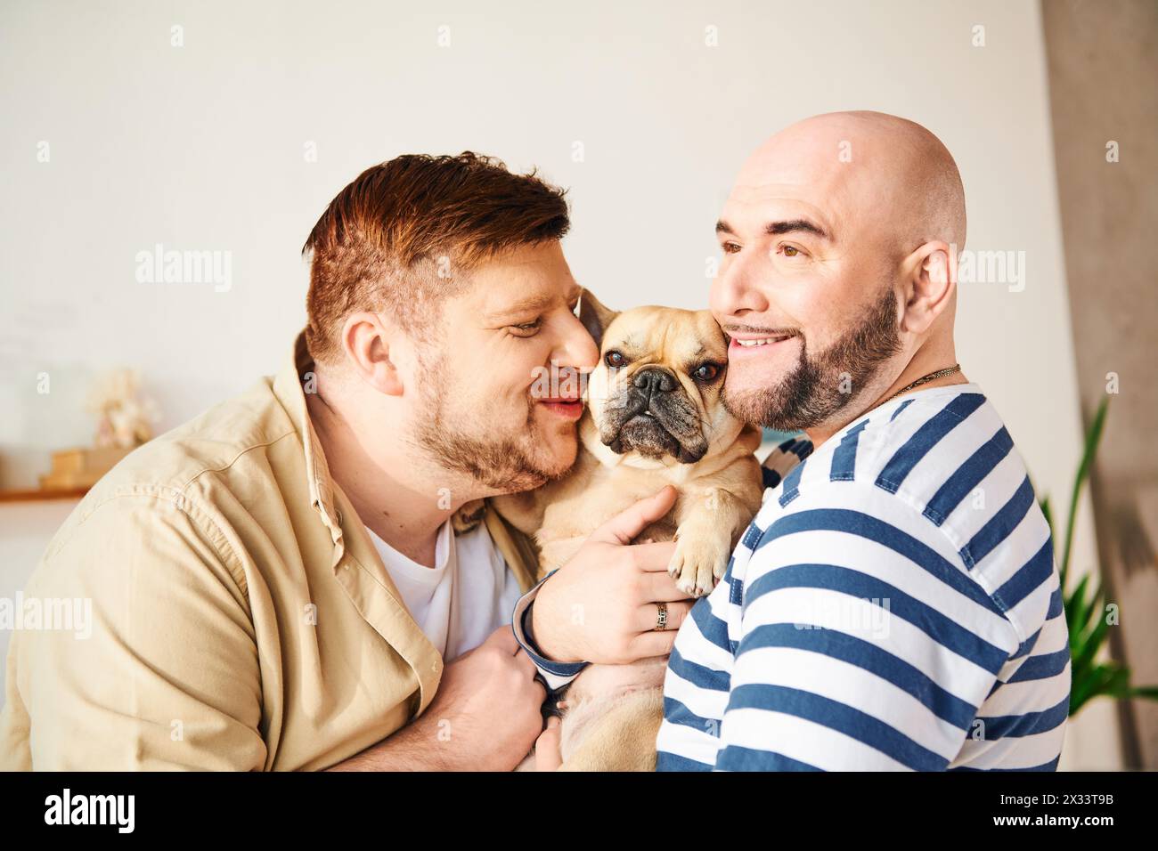 Ein Mann hält liebevoll eine kleine französische Bulldogge in den Armen und teilt einen süßen Moment. Stockfoto