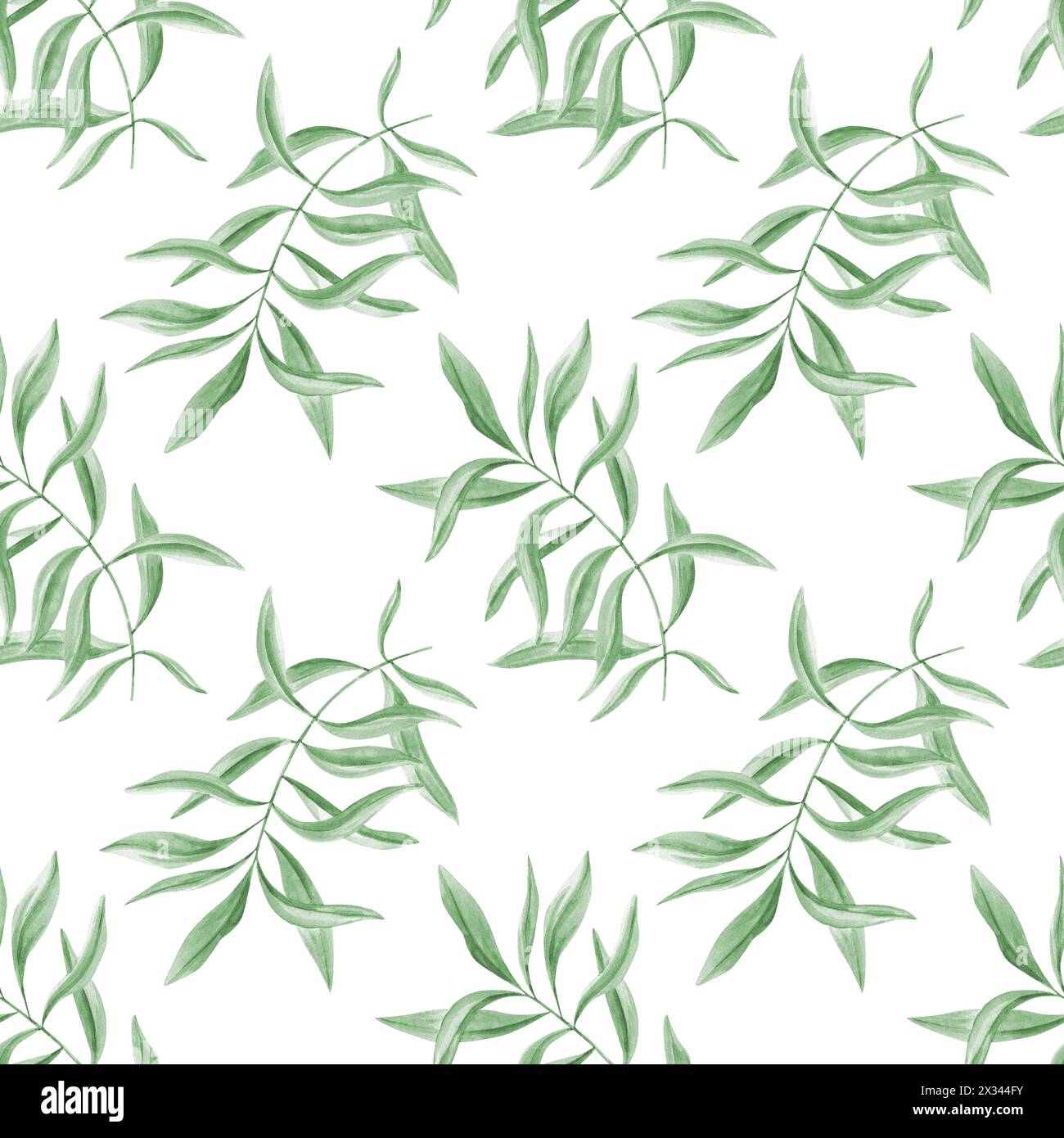 Tropisch grüne Blätter. Oleanderzweige. Nahtloses Muster von Olivenblättern. Realistisches Eukalyptusblatt. Aquarellillustration von Blumengrün Stockfoto
