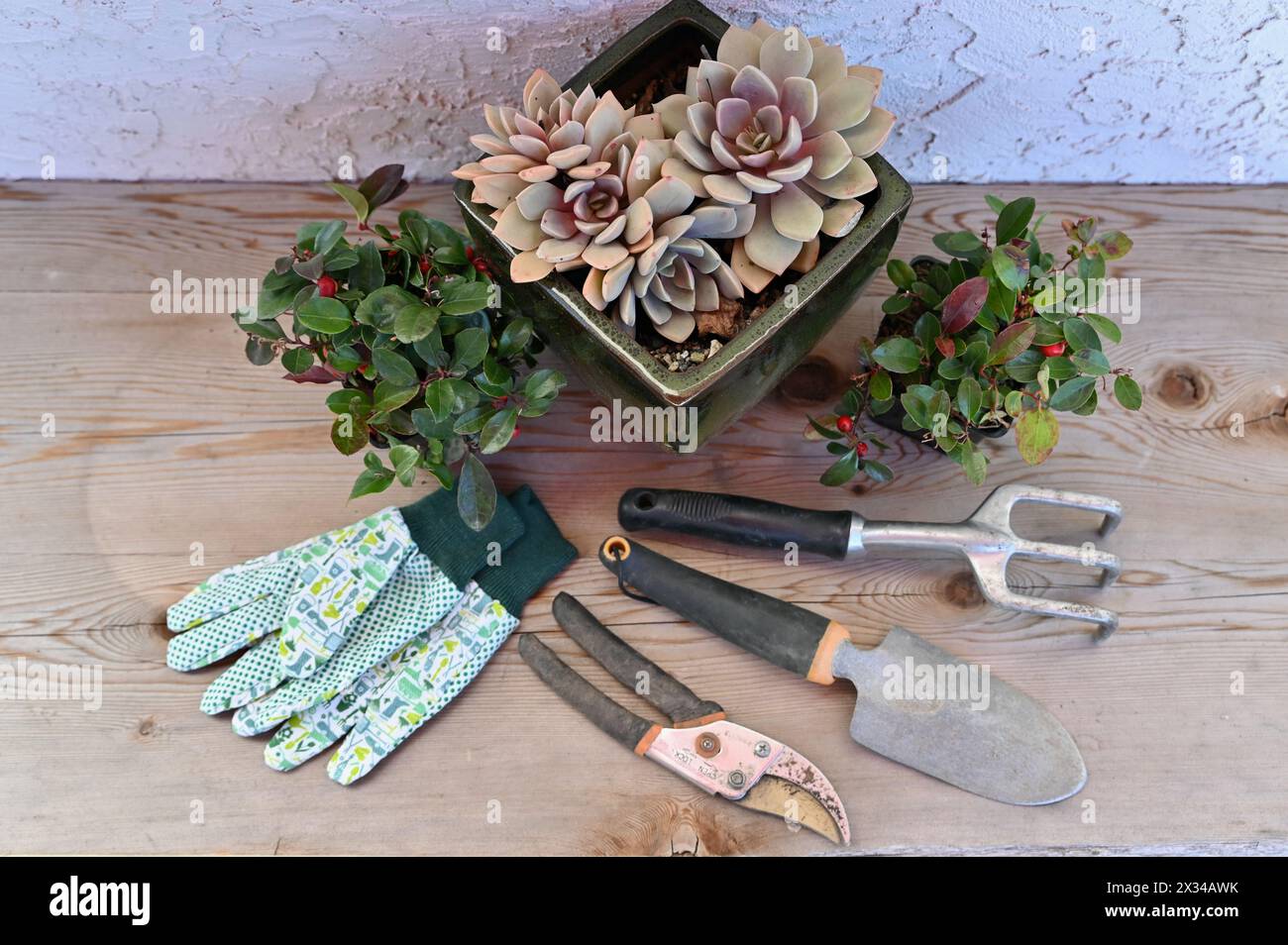 Gartentopfbank mit Gartenwerkzeugen für Gartenarbeiten Stockfoto