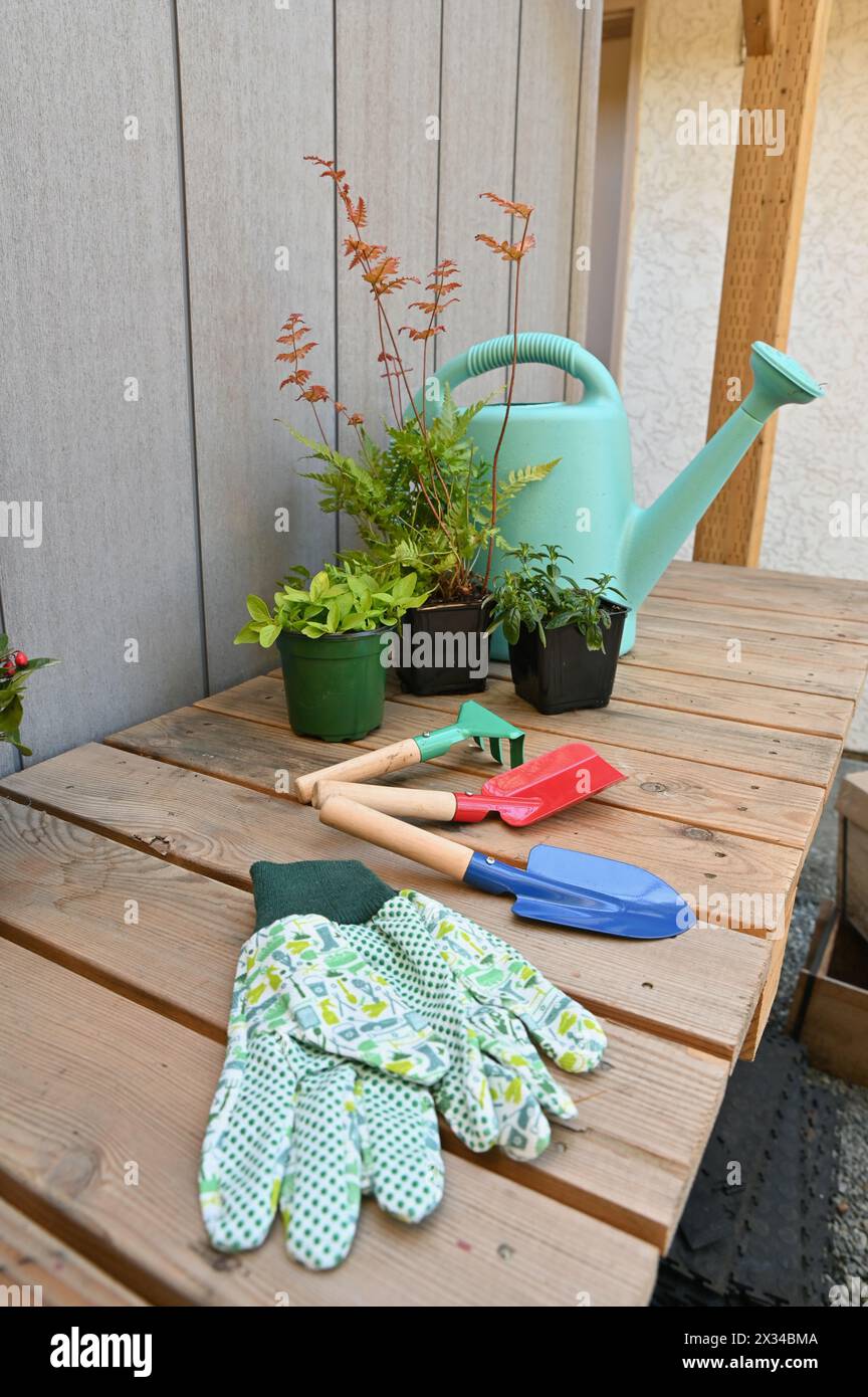 Frühlingsgarten-Topfbank mit Gartengeräten für die Reinigung von Gartenarbeiten. Stockfoto